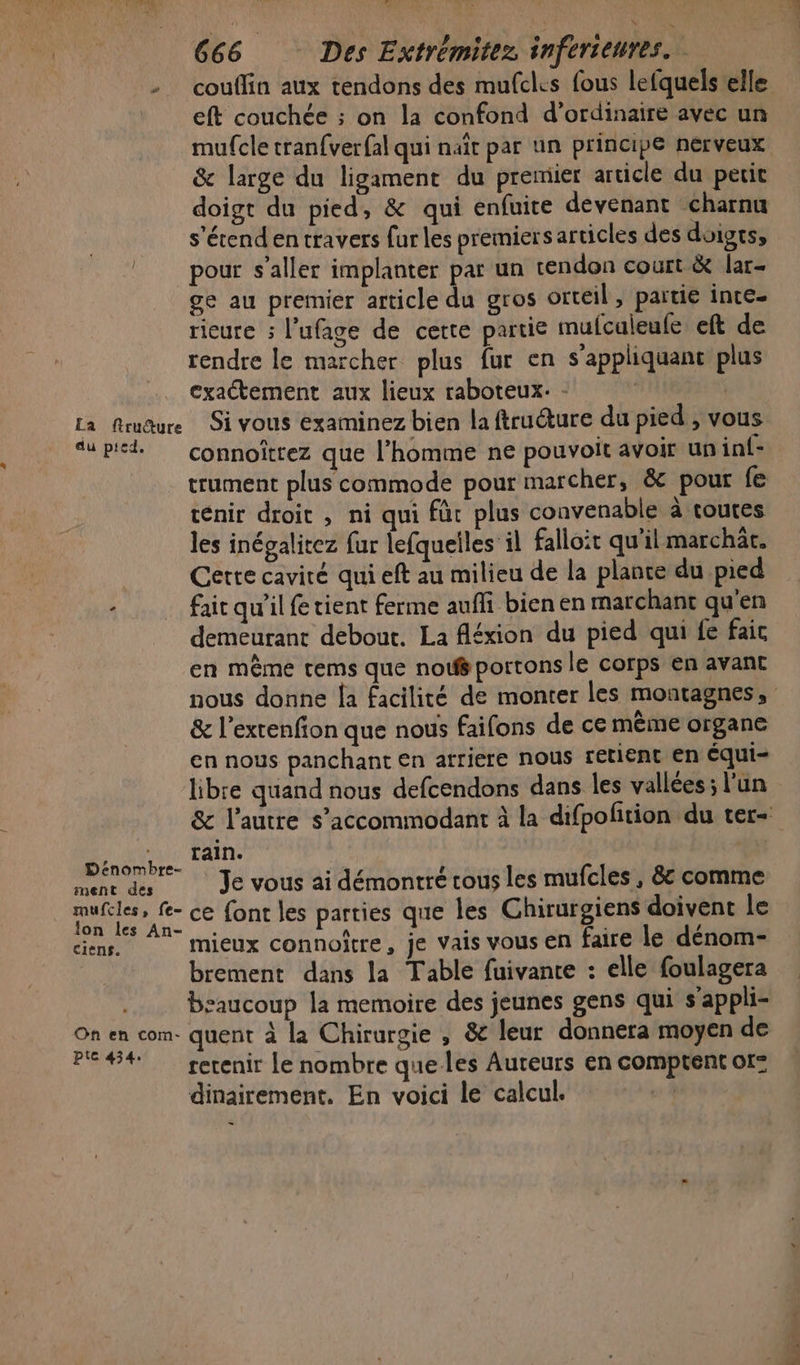-_ couflin aux tendons des mufcles fous lefquels elle eft couchée ; on la confond d'ordinaire avec un mufcle tranfverfal qui nait par un principe nerveux &amp; large du ligament du premier article du petit doigt du pied, &amp; qui enfuite devenant charnu s'étend en travers fur les premiers articles des doigts, pour s’aller implanter par un tendon court &amp; lar- ge au premier article du gros orteil, partie inte- ricure : l’ufage de cette partie mufculeufe eft de rendre le marcher plus fur en s'appliquant plus exactement aux lieux raboteux. - La fruure Si vous examinez bien la ftruéture du pied , vous ‘up connoîtrez que l’homme ne pouvoit avoit un inf: trument plus commode pour marcher, &amp; pour fe tenir droit , ni qui fur plus convenable à toutes les inégalitez fur lefqueiles il falloit qu’il marchät. Cette cavité qui eft au milieu de la plante du pied fait qu'il fe tient ferme aufli bien en marchant qu'en demeurant debout. La fléxion du pied qui fe faic en même tems que not portons le corps en avant nous donne [a facilité de monter les montagnes, &amp; l’exrenfion que nous faifons de ce mème organe en nous panchant en arriere nous retient en équi- libre quand nous defcendons dans les vallées; l'un &amp; l’autre s’accommodant à la difpolition du ter- Dénombre- ui J Fi ment des Je vous ai démontré tous les mufcles, &amp; comme FE OR font les parties que les Ghirurgiens doivent le ciens. mieux connoître, je vais vous en faire le dénom- brement dans la Table fuivanre : elle foulagera bsaucoup la memoire des jeunes gens qui s’appli- On en com- quent à la Chirurgie , &amp; leur donnera moyen de P644 retenir le nombre que les Auteurs en comptent or: dinairement. En voici le calcul. Là ex À +