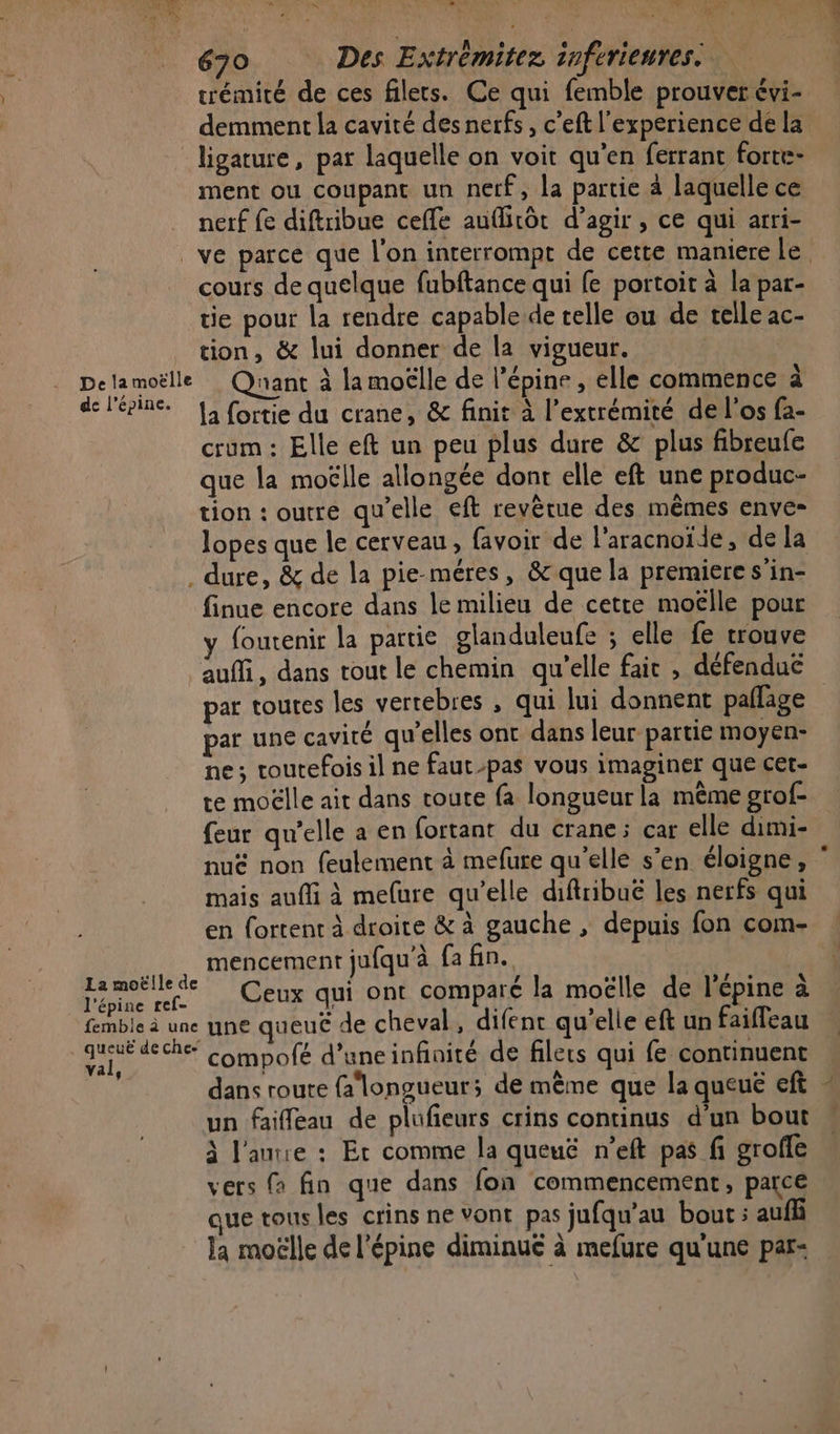 EN Dr LL nr: 1e A1] A w NPA ©” 4 ” + L +: ; As | JT ; PT. , 630 Des Extrémitez inferienres. trémité de ces filets. Ce qui femble prouver évi- demment la cavité desnerfs, c’eft l'experience de la ligature, par laquelle on voit qu'en ferrant forte- ment ou coupant un netf, la partie à laquelle ce nerf fe diftribue cefle aufirôt d’agir , ce qui arri- ve parce que l'on interrompt de cette maniere le cours de quelque fubftance qui fe portoit à la par- tie pour la rendre capable de telle ou de telle ac- tion, &amp; lui donner de la vigueur. Delamoëlle Quant à la moëlle de l’épine , elle commence à de l'épine. 1; fortie du crane, &amp; finit à l'extrémité de l'os fa- crum: Elle eft un peu plus dure &amp; plus fibreufe que la moëlle allongée dont elle eft une produc- tion : outre qu'elle eft revètue des mêmes enve- lopes que le cerveau, favoir de l'aracnoïde, de la . dure, &amp; de la pie-méres, &amp; que la premiere s’in- finue encore dans le milieu de cette moëlle pour y foutenir la partie glanduleufe ; elle fe trouve auffi, dans tout le chemin qu’elle fait , défendu par toutes les vertebres , qui lui donnent pallage par une cavité qu'elles ont dans leur partie moyen- ne; toutefois il ne faut-pas vous imaginer que cet- te moëlle ait dans toute fa longueur la même grof- feur qu’elle a en fortant du crane; car elle dimi- nuë non feulement à mefure qu'elle s’en éloigne, mais aufli à mefure qu’elle difiribuë les nerfs qui en fortent à droite &amp; à gauche , depuis fon com- : _ mencement jufqu'à fa fin. Fer Ceux qui ont comparé la moëlle de l'épine à femble à une ne queuë de cheval, difenr qu’elle eft un faiffeau gueué deche Compolé d’uneinfinité de filets qui fe continuent dans route {a longueur; de même que la queué eft . un faifeau de plufieurs crins continus d'un bout à l'autre : Et comme la queué n’eft pas fi grofle vers ( fin que dans fon commencement, parce que tous les crins ne vont pas jufqu’au bout : auf la moëlle de l'épine diminué à mefure qu'une par-