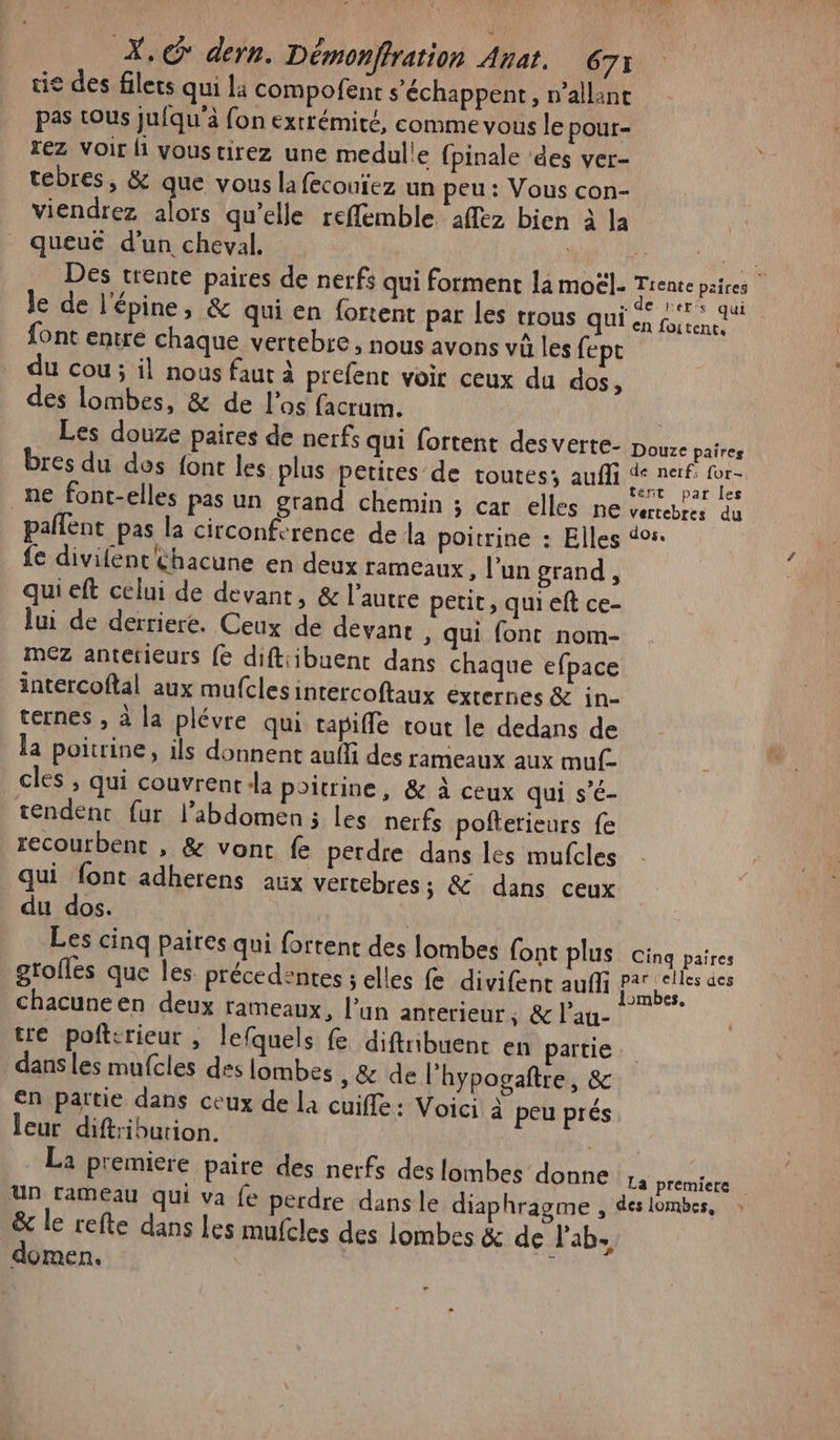 tie des filets qui li compofent s'échappent, n’allant pas tous juiqu'à fon extrémité, comme vous le pour- rez Voir H vous tirez une medulle {pinale ‘des ver- tebres, &amp; que vous la fecoufez un peu: Vous con- viendrez alors qu'elle reflemble affez bien à la | queu€ d’un cheval. | Wu à ge Des trente paires de nerfs qui forment la moël- Trente paires le de l'épine, &amp; qui en fortent par les trous qui a sit font entre chaque vertebre, nous avons vû les fept du cou; il nous faut à prefent voir ceux du dos, des lombes, &amp; de l'as facrum. Les douze paires de nerfs qui fortent desverte- poux paires bres du des font les plus petires de toutes; auf PP _ne font-elles pas un grand chemin ; car elles NE vertebres du pañlent pas la circonference de la poitrine : Elles 40: fe divilent thacune en deux rameaux, l'un grand , quieft celui de devant, &amp; l’autre petit, qui eft ce- lui de derriere. Ceux de devant ; qui font nom- mez antérieurs {6 diftiibuenc dans chaque efpace intercoftal aux mufcles intercoftaux externes &amp; in- ternes , à la plévre qu tapiffe tout le dedans de la poitrine, ils donnent auffi des rameaux aux muf- cles , qui couvrent:la poitrine, &amp; à ceux qui s'é- tendent fur l'abdomen ; les nerfs pofterieurs fe recourbent , &amp; vonr fe perdre dans les mufcles qui font adherens aux vertebres; &amp; dans ceux du dos. Les cinq paires qui fortent des lombes font plus cinq paires grofles que les précedentes ; elles fe divifent aufli ne chacuneen deux rameaux, l’un anterieur, &amp; l’au- tre pofterieur , lefquels fe diftribuenc en partie dans les mufcles des lombes , &amp; de l'hypogaltre, (S'e en partie dans ceux de la cuifle: Voici à peu prés leur diftriburion. La premiere paire des nerfs des lombes donne Le prémienile Un rameau qui va fe perdre dans le diaphragme , des lombes, &amp; le refte dans Les mufcles des lombes &amp; de lab. domen. | ; -