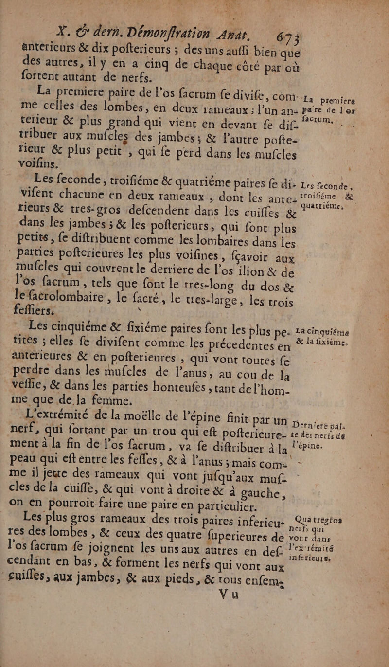 Ale 3 RE X. &gt; dern. Démonflration Anar. 673 anterieurs &amp; dix pofterieurs ; des uns aufli bien que des autres, ily en a cinq de Chaque côté par où fortent autant de nerfs. | La premiere paire de l'os facrum fe divife, com- Pa Diane me celles des lombes, en deux rameaux ; l’un ane pieide Foi térieur &amp; plus grand qui vient en devant fe dif 2%. tribuer aux mufcles des jambes; &amp; l’autre pofte- ricur &amp; plus petit , qui fe perd dans les mufcles voifins. | Les feconde, troifiéme &amp; quatriéme paires fe di: + feconde , vifent chacune en deux rameaux , dont les antez pu. rieurs &amp; tres-gros defcendent dans Les cuifles &amp; dans les jambes ; &amp; les poflerieurs, qui font plus petite , {e diftribuent comme les lombaires dans les pattes pofterieures les plus voifines , fCavoir aux mufcles qui couvrent le derriere de l'os ilion &amp; de los facrum , tels que font le tres-long du dos &amp; le facrolombaire , le facré, le tres-large, les trois fefliers. ; | Les cinquiéme &amp; fixiéme paires font les plus pe- z4 cinquiétne tites ; elles fe divifent comme les précedentes en %1*xiéme. antérieures &amp; en pofterieures , qui vont toures fe perdre dans les mufcles de l’anus, au cou de la veflie, &amp; dans les parties honteufés , tant del’hom me que dela femme. | L'extrémité de la moëlle de l’épine finit PAL UN Derniere par. neïf, qui fortant par un trou qui eft pofterieure- re de: nerts da ment à la fin de l'os facrum, va fe diftribuer à ph rine. peau qui eft entre les fefles, &amp; à l'anus ; mais com: - me il jeue des rameaux qui vont jufqu'aux muf cles de la cuifle, &amp; qui vont à droite &amp; à gauche, On en pourroit faire une paire en particulier. | Les plus gros rameaux des trois paires inferieu- Se et. res des lombes , &amp; ceux des quatre fuperieures de vort dans l'os facrum fe joignent les uns aux autres en def MER R cendant en bas, &amp; forment les nerfs qui vont aux | suilles, aux jambes, &amp; aux pieds, &amp; tous enfema Vu è