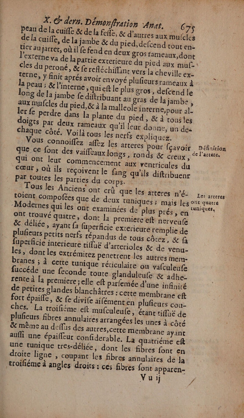 TL L' CRCMENEN &amp; PLON 19 à 1° X. € dern. Démonffration Ange. .Cy$ Peau de la cuifle &amp; de fa fefle, &amp; d’autres aux mufcles de La cuiffe, de la jambe &amp; du pied, defcend tout en- Her au jarrer, où il fe fend en deux gros rameaux, dont cles du peroné, &amp; fe reHéchiffanc vers Ja cheville ex- téFNC, y finit aprés avoir envoyé plufeursrameaux à ? Peau ; &amp; l'interne , qui eft le plus gros, defcend le long de 12 jambe fe difribuant au gras de la jambe , aux mufcles du pied, &amp; à Ja malleoïe interne, pour al er fe perdre dans Ja plante du pied, &amp; à tous les oigts par deux rameaux qu'il leur donne, un dea Chaque côté. Voilà tous les nerfs expliquez. Ÿ Ous les Anciens ont crû que les atteres n°é- Le: arterés Modernes qui les ont examinées de plus prés, en Ont trouvé quatre, dont la premiere eft nerveufe &amp; déliée, ayant fa (uperficie exterieure remplie de plufieurs petits nerfs répandus de tous côrez, &amp; fa fuperficie interieure tiffuë d’arterioles &amp; de venu- les, dontles Extrémitez penetrent les autres mem- branes ; À cette tunique réticulaire ou vafculeufe fuccéde une feconde toute glanduleufe &amp; adhez renteà [a premiere ;elle eft parfemée d'une infiniré de petites glandes blanchätres : cette membrane eft fort épaille, &amp; fe divife ailément en plufieurs COt- ches. La troifiéme eft mufculeufe, étanc riffs de plufieurs fibres annulaire arrangées les unes À côté &amp; même au deffus des autres,cette membrane ayant auffi une épaifleur confiderable. La quatriéme eft une tunique tres-déliée, dont les fibres font en droite ligne , coupant les fibres annulaires de Ja troiféme à angles droits : ces fibres font apparen- | Vuij {uniques