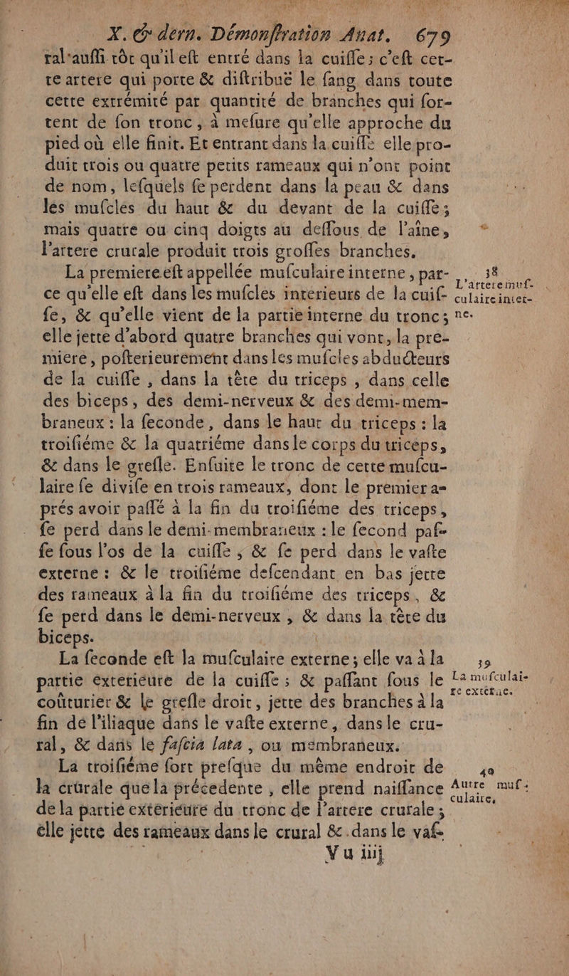 ral'auffi rôr qu'ileft entré dans la cuifle; c’eft cet- te artere qui porte &amp; diftribué le fang dans toute cette extrémité par quantité de branches qui for- tent de fon tronc, à mefure qu'elle approche du pied où elle finit. Et entrant dans la cuiflé elle pro- duit trois ou quatre perits rameaux qui n'ont point de nom, lefquels fe perdent dans la peau &amp; dans les mufclés du haut &amp; du devant de la cuiffe; mais quatre ou cinq doigts au deffous de l’aîne, l'artere crurale produit trois groffes branches, La premiereeft appellée mufculaireinterne , pat- ce qu'elle eft dans les mufcles inrerieurs de la cuif- {e, &amp; qu’elle vient de la partie interne du tronc; elle jette d'abord quatre branches qui vonr, la pre- miere, pofterieurement dans les mufcles abducteurs de [a cuifle , dans la tête du triceps , dans celle des biceps, des demi-nerveux &amp; des demi-mem- braneux : la feconde, dans le haut du triceps : la troifiéme &amp; la quatriéme danse corps dutriceps, &amp; dans le grefle. Enfuite le tronc de certe mufcu- laire fe divife en trois rameaux, dont le premier a= prés avoir paflé à la fin du troifiéme des triceps, fe perd dans le demi-membraneux : le fecond paf- fe fous l'os de la cuifle ,; &amp; fe perd dans le vafte externe : &amp; le troifiéme defcendant en bas jette des rameaux à la fin du troifiéme des triceps, &amp; fe perd dans le demi-nerveux , &amp; dans la tère du biceps. La feconde eft la mufculaire externe; elle va à la partie exterieure de la cuifle ; &amp; paffant fous le coùturier &amp; le grefle droic, jette des branches à la fin dé l'iliaque dans le vafte externe, dansle cru- ral, &amp; dans le fa/tia lata , où m&lt;mbraneux. La troifiéme fort prefque du même endroit de la crürale que la précedente , elle prend naiffance de la partié extérieure du tronc de l’artere crurale; elle jette des rameaux dans le crural &amp;.dans le vafe Vu ii UM ER / FETE ur ñ ff: nee. 49 Autre culaire, mu f +