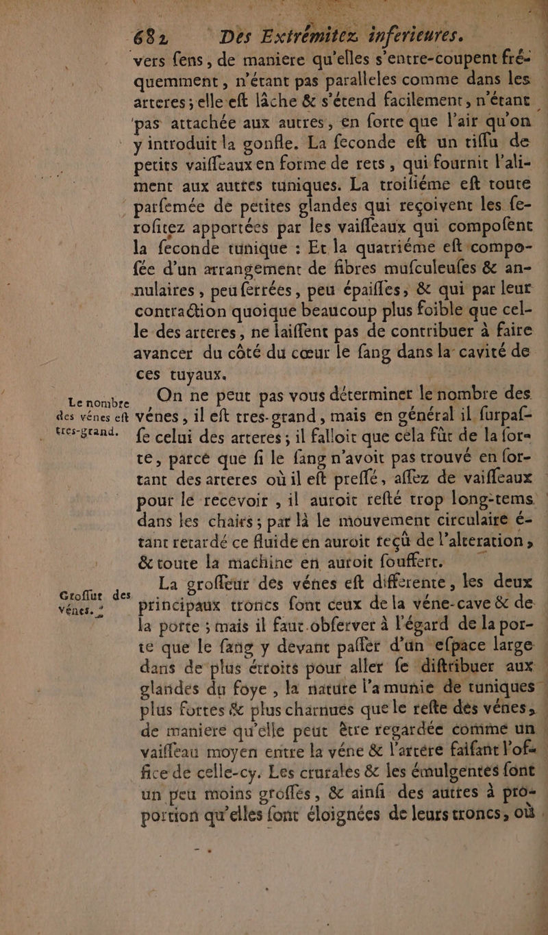 L vers fens , de maniere qu'elles s’entre-coupent fré- | \ k arteres ; elle eft lâche &amp; s'étend facilement, n'étant petits vaifleaux en forme de rets , qui fournit l'ali- ment aux auttes tuniques. La troiliéme eft route rofitez apportées par les vaifleaux qui compofent la feconde tunique : Et la quatriéme eftcompo- fée d’un arrangement de fibres mufculeufes &amp; an- contraétion quoique beaucoup plus foible que cel- le des arteres, ne laiffent pas de contribuer à faire avancer du côté du cœur le fang dans la cavité de ces tuyaux. M On ne peut pas vous déterminer le nombre des tres-prand. Gtoflutr des Vénes. ? fe celui des arteres ; il falloir que cela fût de la for« te, parcé que fi le fang n’avoit pas trouvé en for- tant des arteres où il eft preffé, affez de vaifleaux dans les chairs; par là le mouvement circulaire é- tant retardé ce fluide en auroit teçü de l’alceration, &amp; toure La machine en auroit foufferc. La groffeur des vénes eft différente, les deux principaux troncs font ceux de la véne-cave &amp; de la porte ; mais il faut.obferver à l'égard de la por- vaifleau moyen entre la véne &amp; l’arrére faifant Pof« fice de celle-cy. Les cruralés &amp; les émulgentés font un peu moins groffés, &amp; ainfi des auttes à prô- portion qu’elles font éloignées de leurs troncs, où :