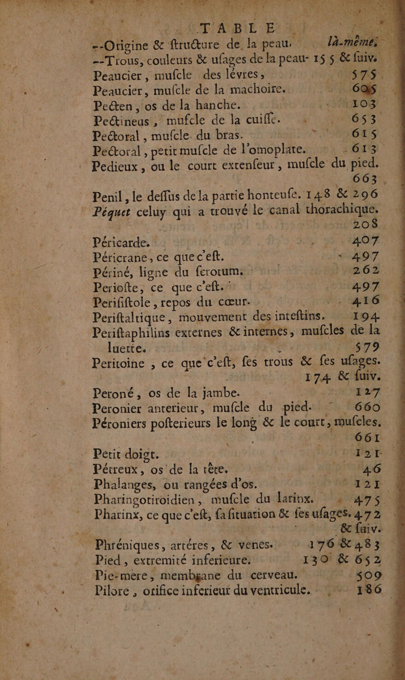 bell} CARRE Ce 6 d-R “ ve ’ LP 5 A: 2  æ --Otigine &amp; ftruture de la peau la-memes Peaucier , mufcle des lévres, : : * 575. Peaucier, mufcle de la machoire.. | cas Pecten , os de la hanche. | «ATOS Pectineus , mufcle de la cuiflé. : , 653 Pectoral , mufcle. du bras. + TOUS Pectoral , petit mufcle de l'omoplate. OT Pedieux , ou le court extenfeur , mufcle du pied. | +4 2. MONO Penil , le deffus de la partie honteufe. 148 &amp; 296 Péquet celüy qui a trouvé le canal thorachique. 208. Péricarde. site AO7 Péricrane, ce quec ef. * 497 Périné, ligne du ferorum, } 148,62 Periofte, ce que c'eft.* LA aT 497 Perififtole , repos du cœur. - 416 Periftaltique, mouvement des inteftins. 194 Periftaphilins externes &amp; internes, mufcles de la _ luette. ee TUE 7 UML EN Peritoine , ce que ‘c’eft, fes trous &amp; fes ufages. | | 174 &amp; fuiv. Peroné, os de la jambe. | 127 | Re TT Petit doigt. | 1 rater ‘4 Péireux, os de la rète. L'or sS Phalanges, ou rangées d'os. AD T Pharingotiroidien, mufcle du larinx. + 199$ 4 “., | : &amp;faiv. ©” Phréniques, artéres, &amp; venés- 1768483 Pied , extremité inferieure: 130 &amp; 652 ! Pie-mere, membÿane du cerveau. #09 Pilore , orifice inferieur du ventricule. . , - 186 1