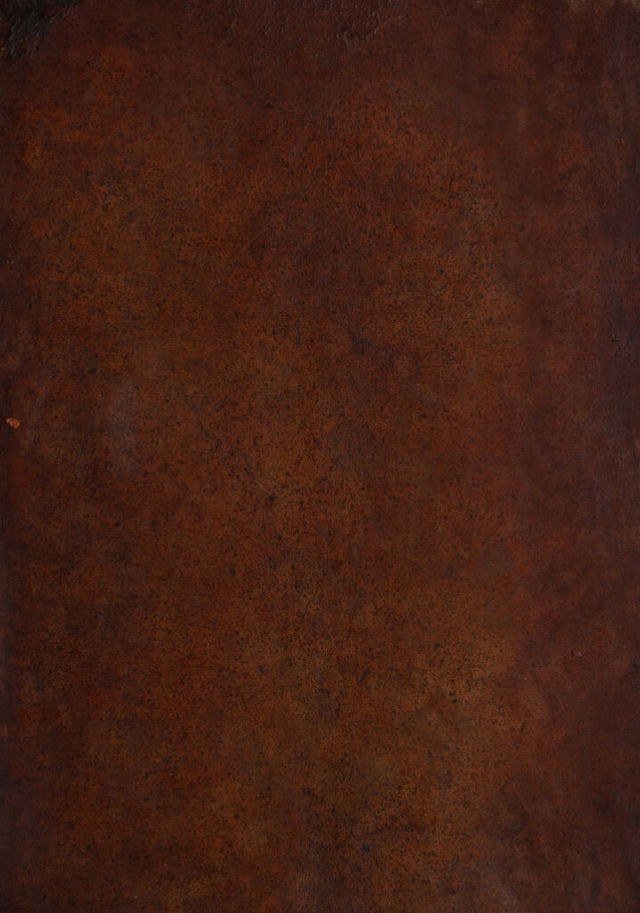 digitised image 1
