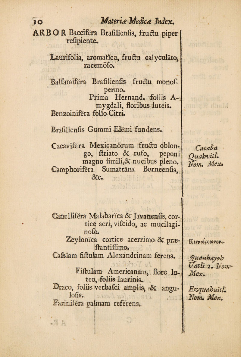 ' AR BOR Baccifera Brafilienfis, fructu piper refipiente. Laurifolia, aromatica, fruitu calyculato, racemofo. Balfamifera Brafilienfis fruitu monof- permo. Prima Hernand. foliis A- mygdali, floribus luteis. Benzoinifera folio Citri. Brafilienfis Gummi Elemi fundens. Cacavifera Mexican5rum frudu oblon¬ go, firiato δζ rufo, peponi magno fimili,&amp; nucibus pleno. Camphorifera Sumatrana Borneenfis, &amp;c. Cacaba Quahvitl. Now. Mex. Canellifera Malabarica δζ Javanenfis, cor¬ tice acri, vifcido, ac mucilagi- nofo. Zeylomca cortice acerrimo Si prae- itantiffimo. Cafsiam fiitukm Alexandrinam ferens.  T ~ 'f* r ; ■  J .* ·, u - Fiitukm Americanam, flore lu¬ teo, foliis laurinis. Draco, foliis verbafci amplis, &amp; angu- lofis. .·, Farinifera palmam referens. K IVV&amp;fJLWQV* jQumhayoh Uatli 2* Nam Me x. Ezquahuith Nonu Mex>
