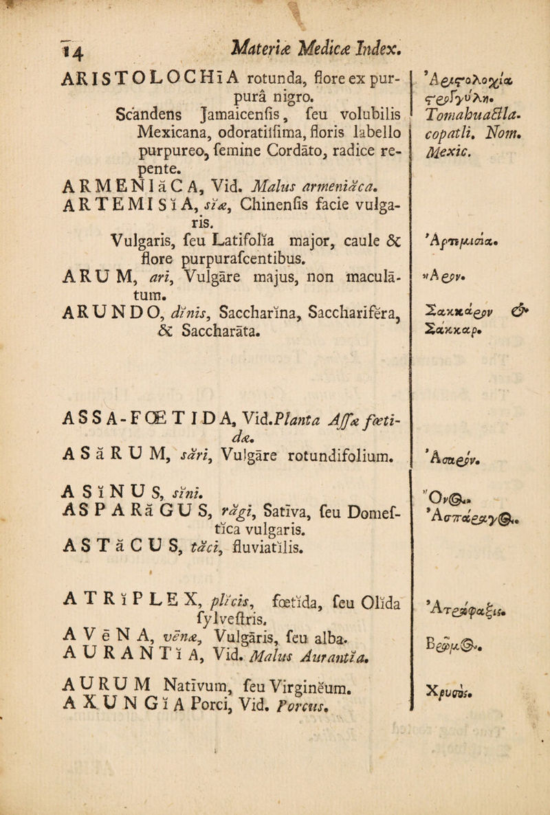 AR ISTOLOCHxA rotunda, flore ex pur¬ pura nigro. Scandens jatnaicenfis, feu volubilis Mexicana, odoratiliima, floris labello purpureo, femine Cordato, radice re¬ pente. A R M E N1 a C A, Vid. Malus armeniaca. ARTEMISxA, sia, Chinenfis facie vulga¬ ris. Vulgaris, feu Latifolia major, caule δί flore purpurafcentibus. ARUM, ari, Vulgare majus, non macula¬ tum. ARUNDO, dinis, Saccharina, Sacchariferaj &amp; Saccharata. Ά&amp;ςΌλοχΙΰΙ Tomahua&amp;la· copatli, Nom* Mexic- *AfTtfJuaixm vA&amp;v· 0* Σάκχ,αρ· A S S A - F G£ T I D As Vid .Flant a AJfa foeti¬ da* A S a R U M, sdri, Vulgare rotundifolium. Aca^pV· A SiNUS, sini· AS P ARa GU S, rdgi7 Sativa, feu Domef- tica vulgaris. A S T a C U S, taci, fluviatilis. ATRiPLEX, plicis, foetida, feu Olida fylveflris, A V e N A, vena. Vulgaris, feu alba. A U R A N T ϊ A, Vid. Malus Aurantia. A U R U M Nativum, feu Virgineum. A X U N G ϊ A Porci, Vid. Porcus* Ατ ζρφαξίζ. B cpjjL©**