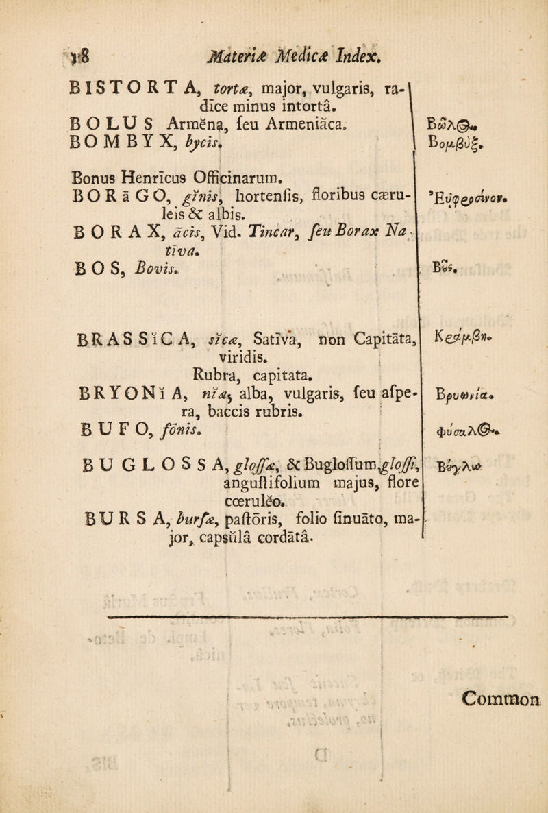 BISTORT A, torts, major, vulgaris, ra¬ dice minus intorta. BOLUS Armena, feu Armeniaca. BOMBYX, by cis. Bonus Henricus Officinarum. BORaGO, gink, hortenfis, floribus caeru¬ leis &amp; albis. BORAX, acts, Vid. Tincar, feu Borax Na. tiva. B O S, Bovis. ' ' , BRAS S i C A, sics. Sativa, non Capitata, viridis. i Rubra, capitata. BRYONiA, πϊλj alba, vulgaris, feu afpe- ra, baccis rubris. BUFO, fonts. \ ♦ BUGLOSSA, ghjfe Sc Bugloffun\gloffi, anguftifolium majus, flore coeruleo· BURSA, burfay paftoris, folio finuato, ma¬ jor, capsula cordata- Bojx/3υξ* Έ Wfgftnvov· BS*. B fvvhl&amp;· φΰσα λ©*. I Common;