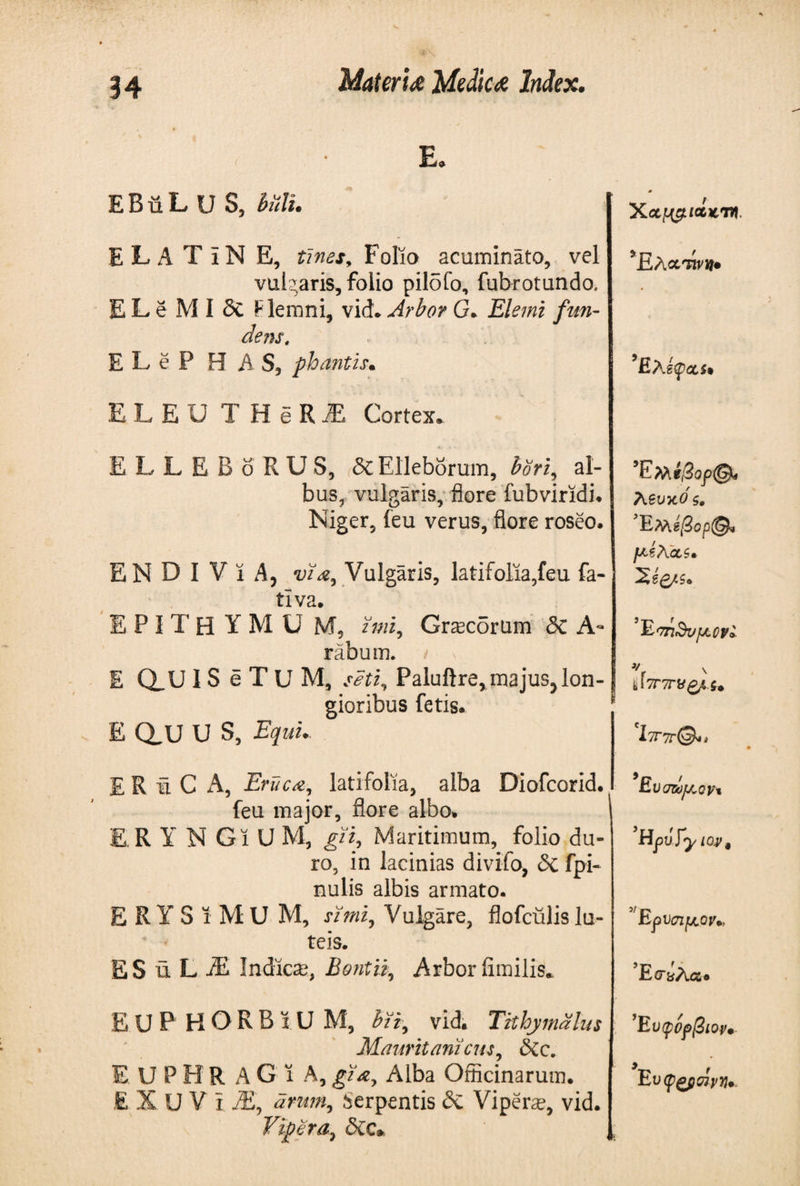 E, E B ϋ L U S, biili. E L A T ϊ N E, tines y Folio acuminato, vel vulgaris, folio pilofo, fubrotundo. E L e Μ I δί Flemni, vid. Arbor G. Elemi fun¬ dem, E L e P HAS, phantis· ELEU T H e RiE Cortex* XctMpicc icn/i. 5Ελάτινη· iLLEBoRUS, &amp; Elleborum, bbri, al¬ bus, vulgaris, flore fubviridi. Niger, feu verus, flore roseo. EN D I V ϊ Ay via, Vulgaris, latifolia,feu fa¬ ti va. E P ί T Η Y Μ U Μ, imi, Graecorum δί A- rabum. t v E dU ISeTuM, seti, Paluftre, majus, lon¬ gioribus fetis. E Q.U U S, Equi. £ R ϋ C A, Eruca, latifolia, alba Diofcorid. feu major, flore albo. E R ¥ N GiUM, git, Maritimum, folio du¬ ro, in lacinias divifo, &amp; fpi- nulis albis armato. E R ϊ S i M U M, simi. Vulgare, flofculis lu¬ teis. ES uLjE Indica;, Bontii, Arborflmilis. EUPHORBEUM, bti, vid. THbymalus Mauritantcus, Sic. EUPHR AGiA, gia, Alba Officinarum. E X U V i M, arum, Serpentis <Sc Vipers, vid. Vipera, <5cc» ’EMt;2op@< λβυκο' ς. Έμ εβορ@* l&amp;tKoLS· ’Σε&amp;ζ. */ Ν dTnrVfy.U Ix7T©4i Ευ άτοκον* 5HpuSy toy 9 v Ερνσιμ,ον» Έσ&amp;λα® Έυφίρβιον·■ E Offlam..