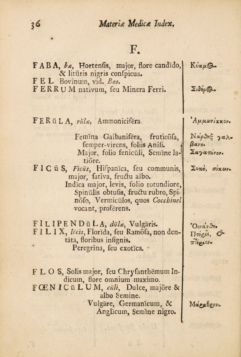 Φ F. F A B A, A*, Hortenfis, major, flore candido, <3i lituris nigris confpicua. F E L Bovlnum, vid. Bos. FERRUM nativum, feu Minera Ferri» Σί&amp;ί/'©» FERuLA, ruL·, Ammonicifera, 5AfAfJUM IXXQ?· Femina Galbanifera, frutic5fa, femper-virens, foliis Anifi. j Major, folio feniculi, Semine Ja-j tiore. FICuS, Ficus ^ Hifpanica, feu communis, major, fativa, fruftu albo. ' Indica major, levis, folio rotundiore, Spinulis obtufis, fruftu rubro, Spi- ηδΓο, Vermiculos, quos Cocchind vocant, proferens. Ναρ,θτιξ yctXm β&amp;νη* ^OLyOLTThVOV· σνχων» * 4* F I L I P E N D ii L A, dula, Vulgaris. FILIX, licis, Florida, feu Ramofa, non den¬ tata, floribus infignis. Peregrina, feu exotica. *Οινάν3ν\· Πτ^, &amp; 7rfeytw·· FLOS, Solis major, feu Chryfanthemum In¬ dicum, flore omnium maximo. FQEN IGuLUM, ciili, Dulce, majore &amp; albo Semine. Vulgare, Germanicum, <3c Anglicum, Semine nigro. 1 M οίζβ,ΰξρν*.