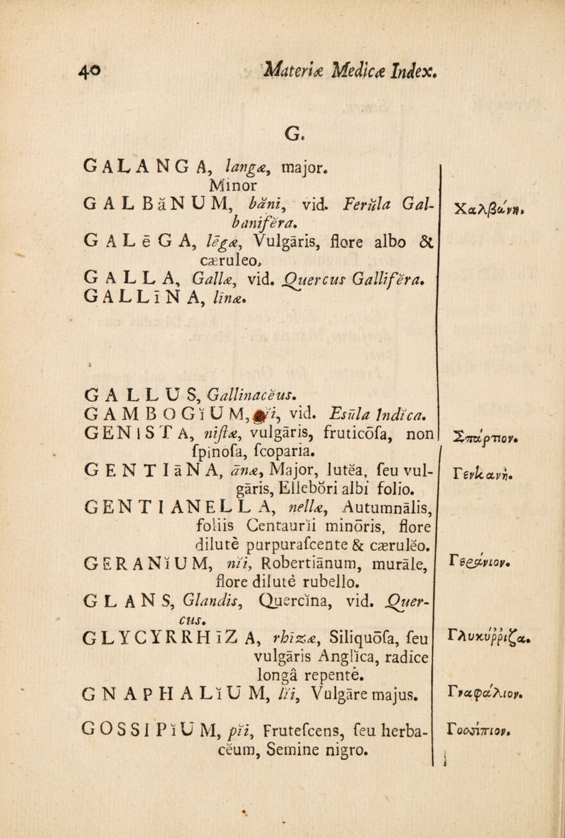 GALA NG A, lang<e7 major. Minor G A L B a N U M, bdni, vid. Ferula GaU h linifera. G A L e G A, Vulgaris, flore albo δί casruleo, GALLA, GaUvid. Quercus Galli fer a. GALLiNA, lina. Χαλ/3 dpn> ΧτίOLpTloy· Tsvlcavv. GALLUS, Gallinaceus. GAMBOGiU vid. Es fila Indica. GENISTA, nifl#, vulgaris, fruticofa, non fpinofa, fcoparia. GENTIaNA, an*, Major, lutea, feu vul¬ garis, Ellebori albi folio. GENT I AN E L L A, nell*, Autumnalis, foliis Centaurii minoris, flore dilute purpurafcente &amp; casruleo. GERANIUM, nziy Robertianum, murale, ! P^d^w· flore dilute rubello. GLANS, Glandis, Quercina, vid. Quer¬ cus. GLYCYRRHiZ A, rhiz*, Siliquofa, feu vulgaris Anglica, radice longa repente. GN APHALiUM, Γϊζ9 Vulgare majus. Γ λνχ,υ'ρριζα Γνα,φαλιον. G O S S1 P1U M, pii, Frutefcens, feu herba-1 Γοαπτπο*. ceum, Semine nigro.