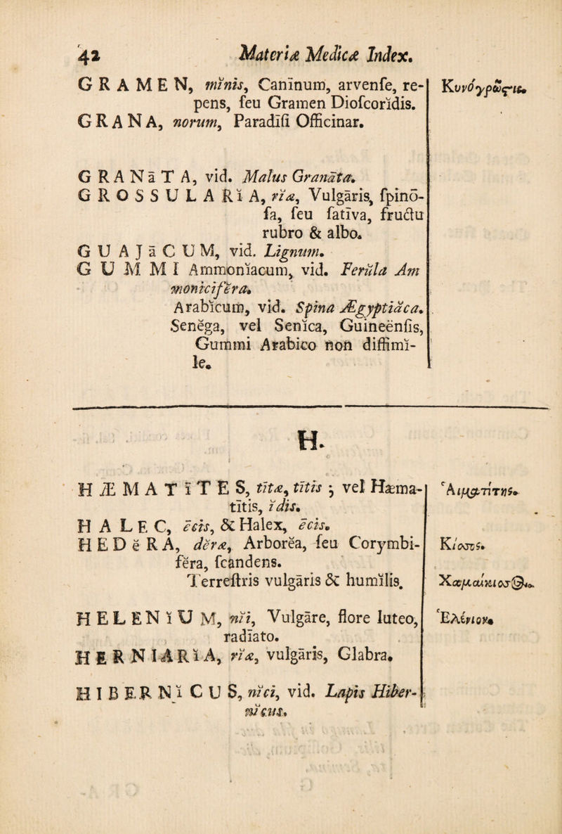 GRAMEN, Minis, Caninum, arvenfe, re¬ pens, feu Gramen Diofcoridis. GRANA, norum, Paradlfi OfHcinar. G R A N a T A, vid. Malus Granata. GROSSULARiA, via. Vulgaris, fpino- fa, feu fativa, frudu rubro &amp; albo* GU AJaCU M, vid. Lignum· G U Μ Μ I Ammoniacum, vid. Ferula A?n monk if era* Arabicum, vid. Spina JZgyptidca. Senega, vel Senica, Guineenfis, Gummi Arabko non diffimi- ! le. H. c HEMATITES, tit*, titis * vel Haema¬ ti t is, idis· H A LEC, acts, &amp;Halex, ecis. HEDe RA, der*r Arborea, feu Corymbi- fera, fcandens. Terreftris vulgaris &amp; humilis. ' PufJ&amp;TlTVi» K /wri» Xa/xcu&amp;iovj©**. HELENiU Μ, mi, Vulgare, flore luteo, radiato. E R N I ARi A, na, vulgaris, Glabra· I B ER Njl C U S, mei, vid. Lapis Hiber¬ nians* E hinov*