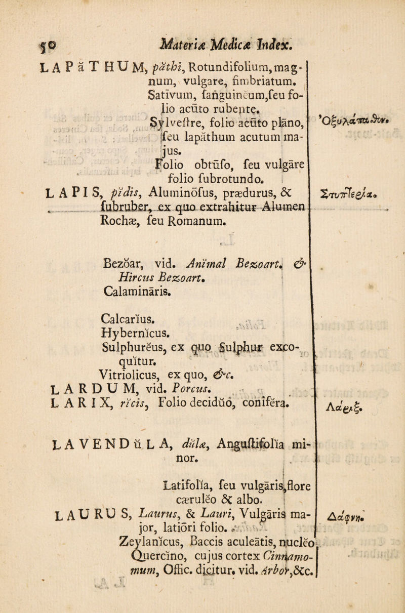 L A P a T HUM, pathi^ Rotundifolium,mag* num}\ vulgare, fimbriatum· Sativum, fanguineum5feu fo¬ lio acuto rubente· Sylveilre, folio aeuto piano, jfeu lapathum acutum ma¬ jus. Folio obtufo, feu vulgare folio fubrotundo· LAPIS, pidis, Aluminofus, prasdurus, δί . .. .. fubruber,.ex quo extrahitur Alumen Rochas, feu Romanum. XruTrfegJxo Bezoar, vid. Animal Bezoart. &amp; Hircus Bezoart· Calaminaris. Calcarius. s- Hybernicus. Sulphureus, ex quo Sulphuf exco¬ quitur. Vitriolicus, ex quo, &amp;c. L A R D U M, vid. Porcus. LARIX, ricis, Folio deciduo, conifera. ΛθΙ&amp;ξ. LA VENDiiL A, daUy Anguftifblia mi¬ nor. i . . i _ i Latifolia, feu vuIgaris,flore csruleo &lt;$C albo. lauru s, Laurus, &amp; Lauri, Vulgaris ma- I Δάφνη· jor, latiSri folio, J Zeylanicus, Baccis aculeatis, nucleo. Quercino, cujus cortex Cinr\arno- mum, Offic. dicitur· vid. Arbdtfiic.