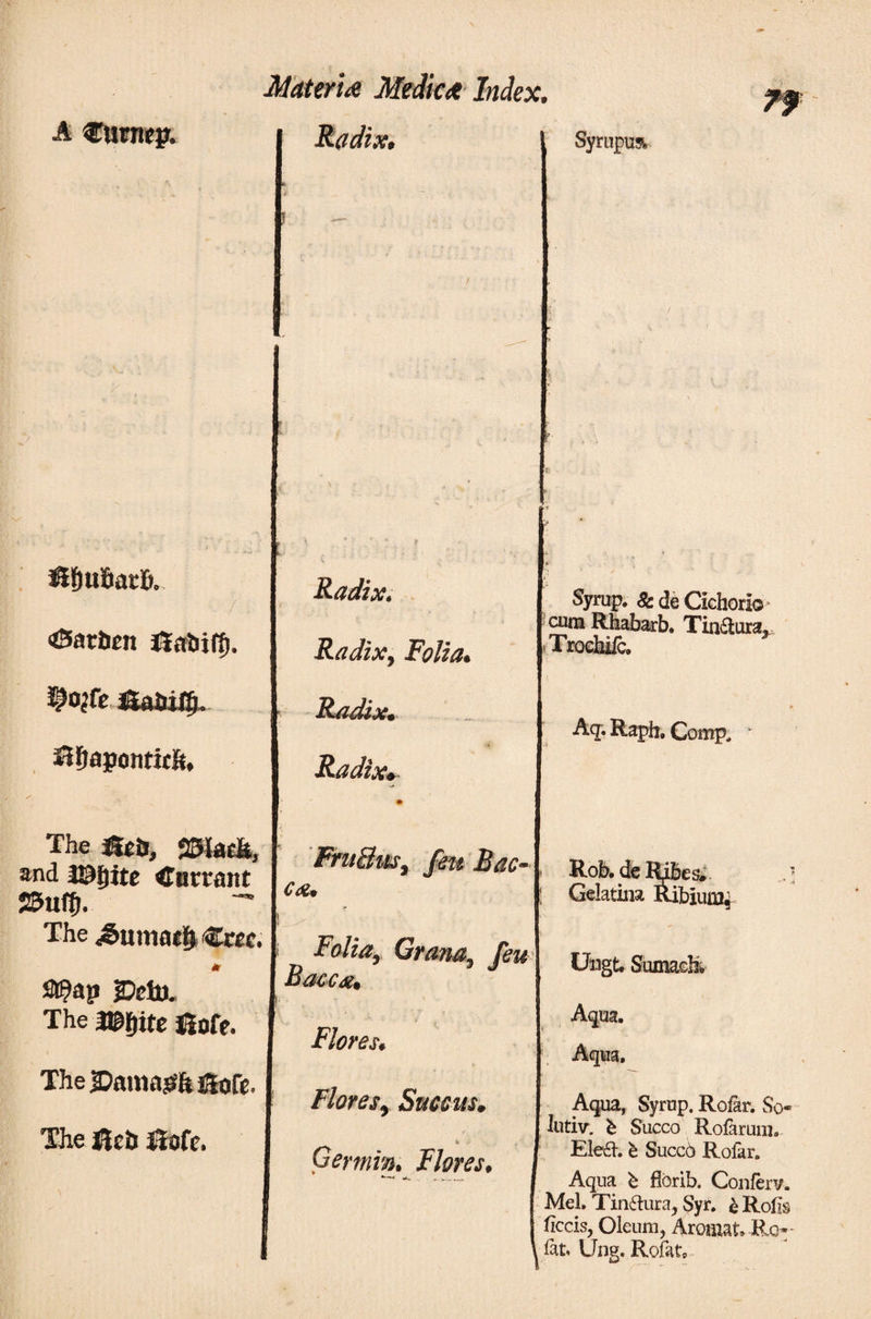 A Curncp. «ftufiar». Battum ίϊαϊΰφ. mte JSattiiij. Siiiajjontwiu The 8r&amp;, SSIacli, and 3&amp;tiite Currant JSufij. The <&amp;umatt)>Cm. * fl?ap ®ebi. The ungite JSofe. The Parnasia Soft. The itch ilofe. Radix. Radix, Folia. Radix. Radix. Folia, Grana,, feu Baccx. ' -- * Flores. Flores, Succus. % Germin. Flores. ψψ. Syrupust- - * Synrp. &amp; de Cichorio cum Rhabarb. Tin&amp;ura. Trochifc. Aq. Raph. Comp, * Rob· de Ribes* Gelatina Ribiuiu; Ungt. Sumach* Aqua. Aqua, Aqua, Syrup. Roiar. So- lutiv. b Succo Rofarum. Ele£V. e Succ6 Rofar. Aqua b fiorib. Conlerv. Mei. Tin&amp;ura, Syr. £ Rolls focis, Oleum, Aromat Ro- ^ iat. Ung. Rofat,
