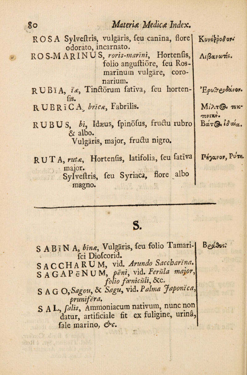 * ROSA Sylveftris, vulgaris, feu canina, flore odorato, incarnato, R 0 S-M A RIN U S, roris-marini, Hortenfis, folio anguftiore, feu Ros¬ marinum vulgare, coro¬ narium. RUBiA, ia, Tinftorum fativa, feu horten¬ fis. RUBRiCx^ bric&, Fabrilis. Λιβχνωτίζ* Έρν&βΡ&ίνΜ* Μ/λτ©* T5JC- V 'TDVLKA· RUBUS, bi, Idasus, fpinofus, fructu rubro & albo. Vulgaris, major, fructu nigro. Βατ©< < RUTA, ruta., Hortenfis, latifolia, feu fativa , major. Sylveftris, feu Syriaca, flore albo magno. ’ Ρή}αvov} Vuiy\· S. S A B i N A, bina. Vulgaris, feu folio Tamari- fci Diofcorid. SACCHARUM, vid. Arundo Sacchari na. S AGAP eNUM, peni, vid. Feriila major, folio fceniciili, <SCC» SAGO,Sagou, δί Sagu, vid. Palma Japonica, prunifera, S A L, falis, Ammoniacum nativum, nunc non datur, artificiale fit ex fuligine, urina, fale marino, &c. 4
