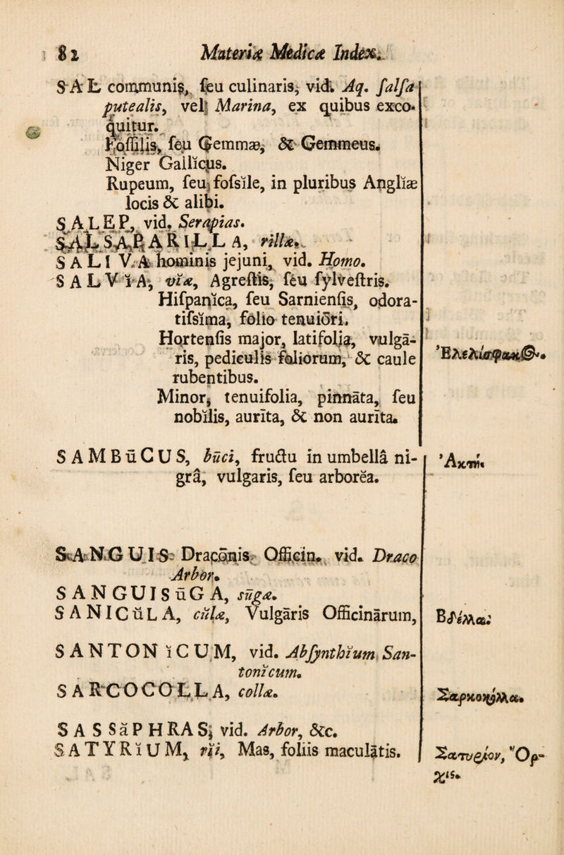 S~A L communi?, feu culinaris, vid. Aq. falfa putealis, vel®; Marina, ex quibus exco¬ quitur. Rqffijis, feu Qemmasj Gemmeus. Niger Gailicps. Rupeum, feu5 fofsile, in pluribus Anglias locis δί alibi. SA L E P' vid, Serapias. A R Ϊ fL L A, S A LI V, A hominis jejuni, vid. Homo. SALVIA*, via, Agreftis, feu fylveftris. Hifpanica, feu Sarnienfis, odora- tifslma, felio tenuiori. Hcyrtenfis major, latifolja, vulga¬ ris, pediculis foliorum, δί caule rubentibus. r ' '-■* Minorj tenuifolia, pinnata, feu nobilis, aurita, δί non aurita. SAMBuCUS, bud, frudu in umbella ni¬ gra, vulgaris, feu arborea. 3 ΈλΕλίσφαΜΙ©·'. Ά Xltli SANGUIS; Draconis; Qfficin. vid. Draco Arbor. S A N GUI S uG A, suga. S A NIC u L A, ciiU, Vulgaris Officinarum, Bj'eMce.’ SANTON i C UM, vid. Abfynthium San¬ tonicum. SARCOCOLLA, colU. S A S S a P H RA Sj vid. Arbor, &amp;c. SATYRiUM, ni. Mas, foliis maculatis. WOp“