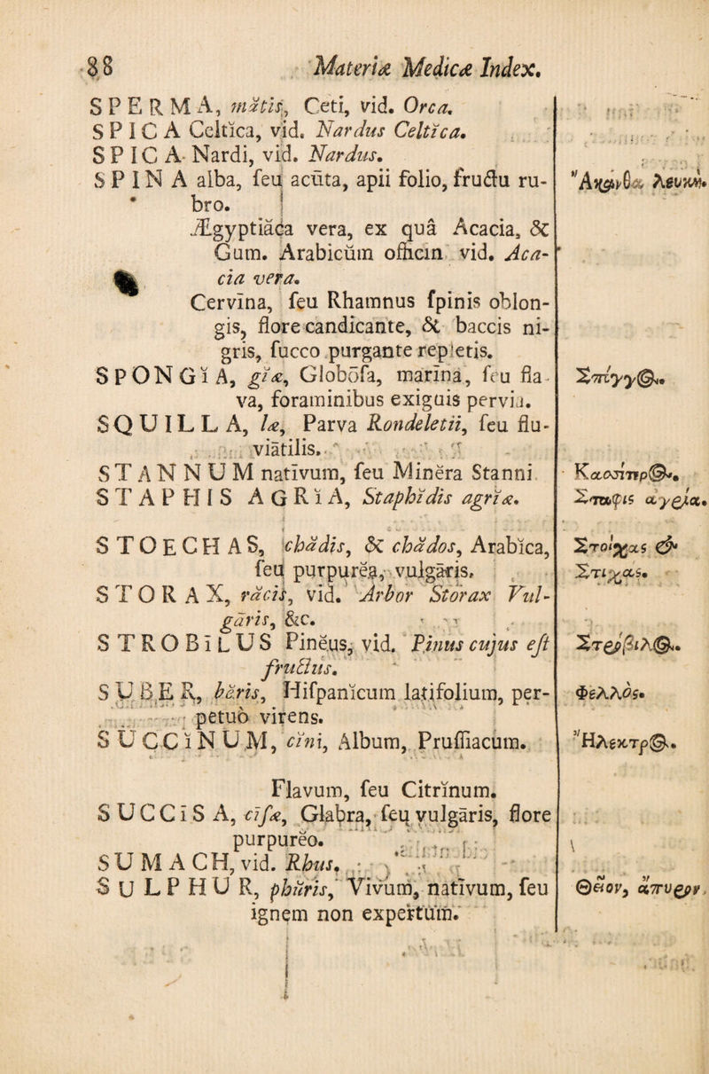 S P E R M A, math» Ceti, vid. Ore a, S P I C A Celtica, vid, Nardus Celtica. SPICA Nardi, vid. Nardus. SPINA alba, feu acuta, apii folio, frudu ru« * bro. ) iEgyptiaca vera, ex qua Acacia, δζ Gam. Arabicum ofhcin vid. Aca¬ cia vera. Cervina, feu Rhamnus fpinis oblon- gis? flore candicante. St baccis ni¬ gris, fucco purgante repletis. SPONGIA, gta% Glob5fa, marina, feu fia~ va, foraminibus exiguis pervia. SQUILL A, la9 Parva Rondeletii, feu flu¬ viatilis... ' ' STANNUM nativum, feu JVlinera Stanni STAPHIS AGRIA, Staphidis agria, S T O E G H A S, chadis, $ζ chddos, Arabica, feq purpiire,a,· vulgaris, STORAX, rdcii, vid. Arbor Storax Vul¬ garis, &amp;C. < .;t STROBILUS Pineus, yid. Finns cujus ejt fruilus. * S U B E R, baris, Hifpanicum latifolium, per¬ petuo virens. S ϋ CC ϊ N U M, cini, Album, Pruffiacum. I ■ . \ 'l i, Flavum, feu Citrinum. S U C CI S xA, c?fa9 Glabra,· feu vulgaris, flore purpureo. r,;.. S U Μ A C H, vid. Rbus, : \ S U L P H U R, pburis, Vivum, nativum, feu ignem non expertum. ?·' U1 r . u *·■ *Λ 2 Triyy^tt Κα,οΑτϊρ®*· Χ'ΤΤΛψΐζ OLygjoi· ΣτQt%&amp;S ό* Στ ιχα,ϊ. Χτ&amp;βΐλ@4. ΦβλλΟζ· ' * < - · κ ’Ηλ^κ,τ^^. I i > ν . i \ ®eiov9 ci7rvgfiy.