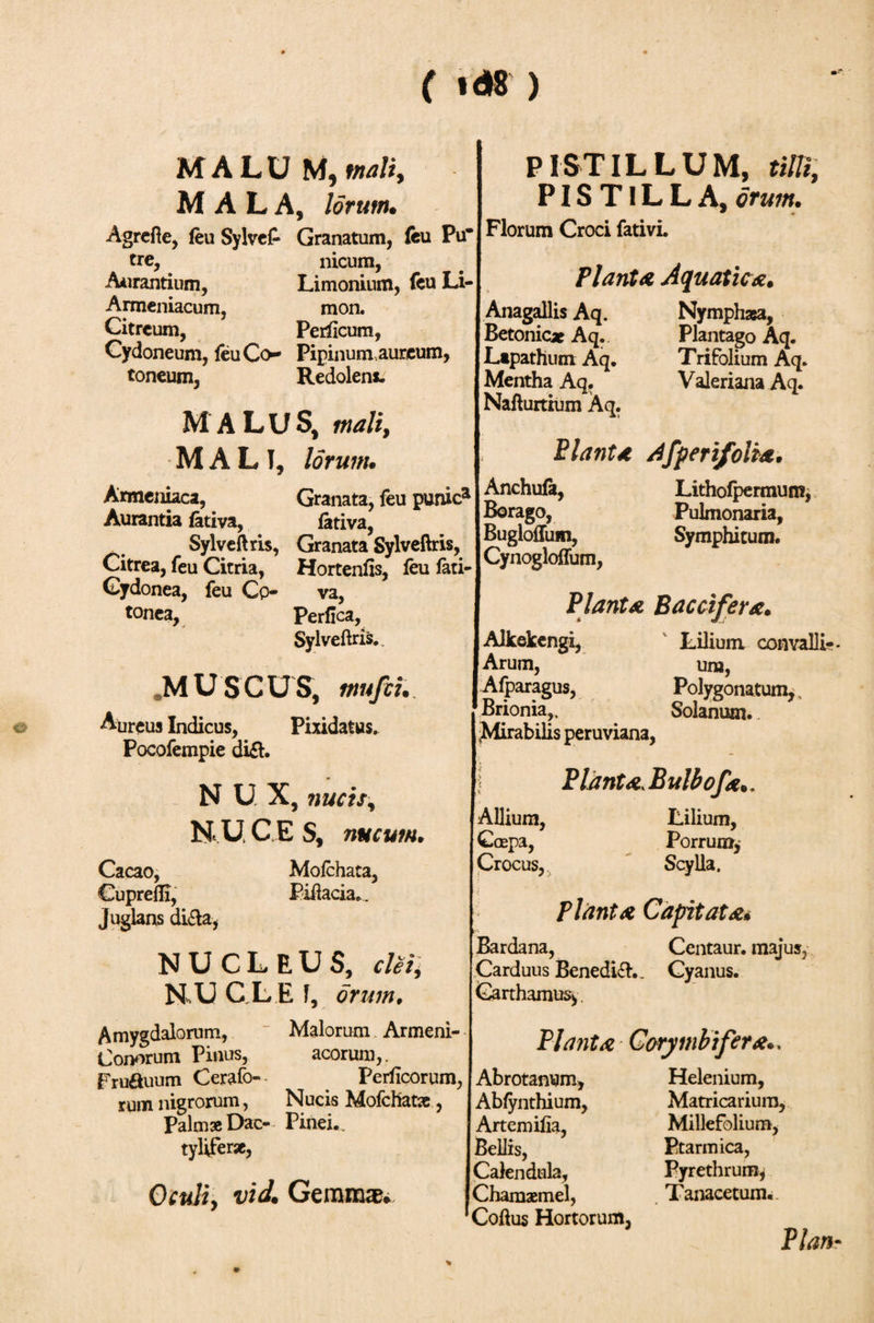 MALU M, malty MALA, lorum. Agrefte, feu SylveP Granatum, feu Pu* tre, nicum, Aurantium, Limonium, feu Li- Armeniacum, mon. Citreum, Periicum, Cydoneum, ieu Co* Pipinum aureum, toneum, Redolens» MALUS, mali, MALI, lorum. Armeniaca, Granata, ieu punica Aurantia iativa, iativa, Sylveftris, Granata Sylveftris, Citrea, feu Citria, Hortenfis, ieu iati- Cydonea, feu Ci&gt; va, tonea, Perfica, Sylveftris.. aM U S C U S, mufti. Aureus Indicus, Pixidatus. Pocofempie di£h N U X, nucis, NU, C E S, nucum. PISTILLUM, m, PISTILLA, orum. Florum Croci fativi. Piant a Aquatic#. Anagallis Aq. Nymphaea, Betonicae Aq. Plantago Aq. Lapathum Aq. Trifolium Aq. Mentha Aq. Valeriana Aq. Nafturtium Aq. PlantA dfperifoltA. Anchufa, Borago, Bugloflum, Cynogloffum, Lithoipermum, Pulmonaria, Symphitum. Moichata, Piftacia.. Cacao, Cuprefli, Juglans di&amp;a, NUCLEUS, ciet, N,U C L E i, orum. Amygdalorum, Malorum Armeni- Conorum Pinus, acorum,. Fru&amp;uum Cerafo-· . Periicorum, rum nigrorum, Nucis Mofchatae, Palmae Dac- Pinei.. tyUferse, Oculi, vid. Gemmae* Plant a BacciferA. Alkekengi, Lilium convalli- Arum, um, Afparagus, Polygonatum, Brionia,. Solanum. Mirabilis peruviana, Plant a. Bulb of a. . Allium, Lilium, Ccepa, Porrum, Crocus, Scylla. Piant a CapitatAi Bardana, Centaur, majus. Carduus Benedic.. Cyanus. Carthamusy. Piant a Corymbifer#.. Abrotanum, Helenium, Abiynthium, Matricarium, Artem ifia, Millefolium, Bellis, Ptarmica, Calendula, Pyrethrum, C hamae mei, . Tanacetum.. Coftus Hortorum, Plan-