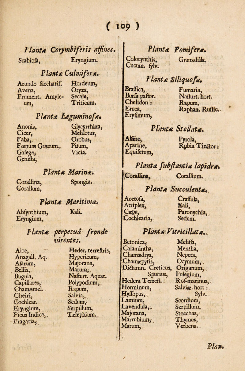 ft ant λ Corymbiferis affines. Scabiofi, Eryngium. Planta Culmi fer A. Arundo faccharif. Hordeum, Avena, Oryza, Frument. Amyle- Secale,, um, Triticum. Planta Leguminofa· Planta Pomifera. Colocynthis, GranadiHa. Cucum, lylv. Planta Siliquofa. Braffica, Buria paftor. Chelidon: Eruca, Eryllmum, Fumaria, Nafturt. hort. Rapum, Raphan. Ruftic. Anonis, Cicer, Faba, Fcenum Graecum,, Galega, Genifta, Glycyrrhiza, Melilotus, Orobus,, Piium, Vicia. Planta Marina. Corallina, Spongia. Coralium, Planta Maritima. Abfynthium, Kali. Eryngium, Planta perpetua fronde virentes. Aloe, Anagail, Aq. Alarum, Bellis, Bugula, Capillares* Chamaemel. Cheiri, Cochlear. Eiyngium, Ficus Indica2. Fragariay Hypericum,* Majorana, Marum^, Nafturt. Aquat. Polypodium,, Rapum, Salvia, Sedum,· Serpillum, Telephium* Piantλ Stellat*. Aparine, Equiietum, Pyrola, Rpbia TinRor Planta fubfantia lapideae Corallina, Corallium. Planta Succulenta. Acetoia, CrafluJa, Atriplex, Caepa, [Cochlearia, Paronychia,, Sedum. Plant# Vitri cillat #., Betonica^ Melifla, Chamaedrys, Nepeta, Chamaepytis, Ocymum,. Di&amp;amn. Creticus, Origanum,., Spurius, Pulegium, Hedera Terreft., [Horminum, HyiTopus,, Lamium, Lavendula,, Majorana, Marrubium, ·., Marum^. Rosmarinus,, Salviae hort: Sylv. Scordium, Serpillum, Stoechas, Thymus, Verbena,, 9Φ