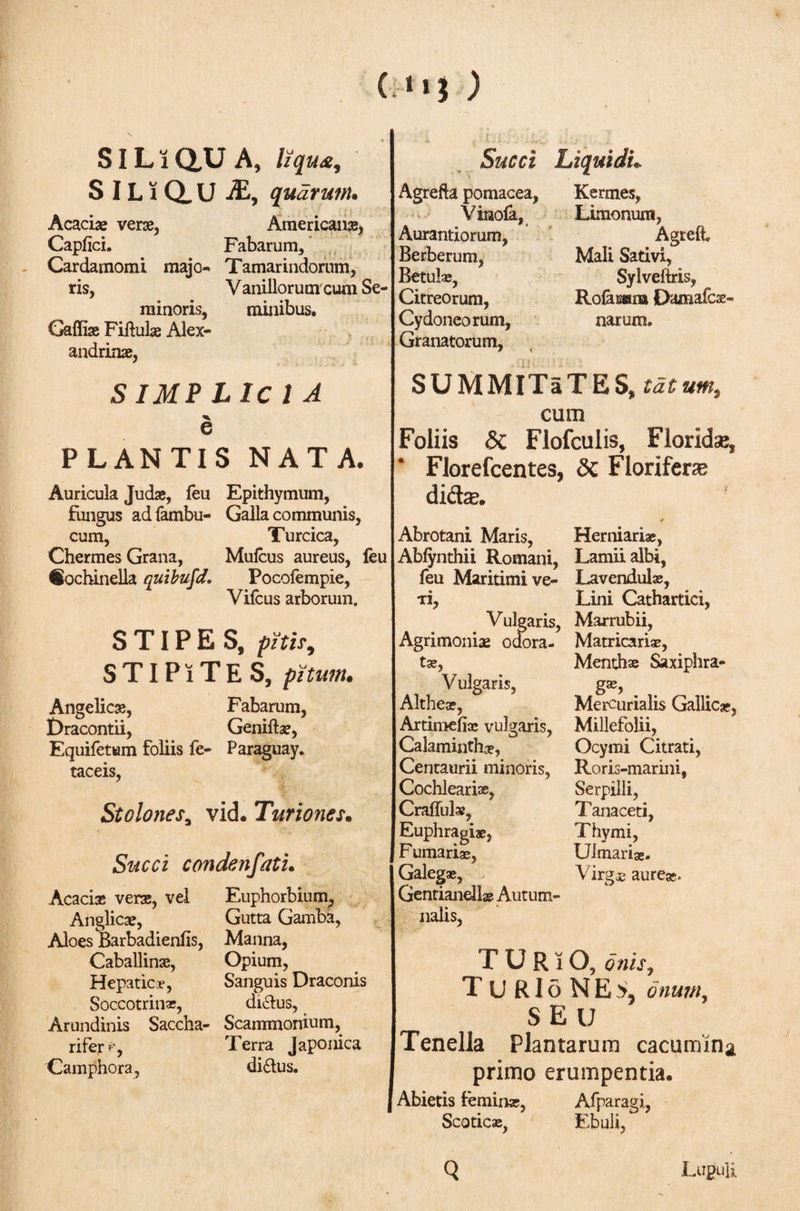C 11} ) SIL ϊ αυ A, liqua, S IL ϊ Q. U JR, quarum* Acaciae vere, Americans, Capiici. Fabarum, Cardamomi majo Tamarindorum, ris, Vaniliorum cum Se¬ ra inoris, minibus. Gaffiae Fiftulae Alex¬ andrinae, SIMP Lie 1 Λ e PLANTIS ΝΑΤΑ. Auricula Judae, feu Epithymum, fungus ad fambu- Galla communis, cum, Turcica, Chermes Grana, Muicus aureus, leu eochinella quibufd. Pocofempie, Vifcus arborum. STIPES, pit is 9 STIPiTES, ρϊturn. Angelicae, Fabarum, Dracontii, Geniftae, Equifetum foliis fe- Paraguay, taceis, Stolones3 vid. Turiones· Succi condenfati Acaciae vere, vel Anglicae, Aloes Barbadienfis, Caballinae, Hepatic*·, Soccotrin», Arundinis Saccha- rifer Camphora, Euphorbium, Gutta Gamba, Manna, Opium, Sanguis Draconis di&amp;us, Scammonium, Terra Japonica di£tus. Succi Liquidi Agrefta pomacea, Kermes, Vinofa, Aurantiorum, Berberum, Betulas, Citreorum, Cydoneorum, Granatorum, Limonum, Agreft. Mali Sativi, Sylveitris, Roiaram Damafcae- narum. SUMMITaTES, tatum, cum Foliis Sc Flofculis, Floridae, Florefcentes, δζ Floriferae didte. &lt;* Abrotani Maris, Herniariae, Abfynthii Romani, Lamii albi, feu Maritimi ve- Lavendulae, τι, Lini Cathartici, Vulgaris, Marrubii, Agrimoniae odora- Matricaria, Menthae Saxiphra- . v Mercurialis Gallicae, tae, Vulgaris, Altheae, Artimefia» vulgaris, Millefolii, Calaminthx, Ocymi Citrati, Centaurii minoris, Roris-marini, Cochleariae, Craflul», Euphragiae, Furnariae, Galegae, Gentiandlas Autum¬ nalis, Serpilli, Tanaceti, Thymi, Ulmarise. Virgae aureae. TURiO, otiis, T U R1 δ N E onum, S E U Tenella Plantarum cacumina primo erumpentia. Abietis feminae, Afparagi, Scoticae. Lupuli