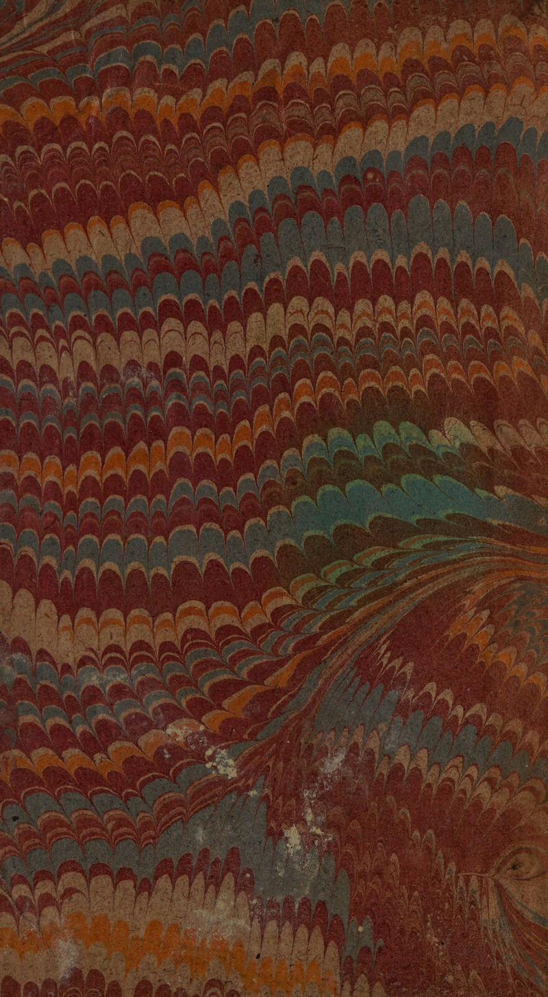 No text description is available for this image