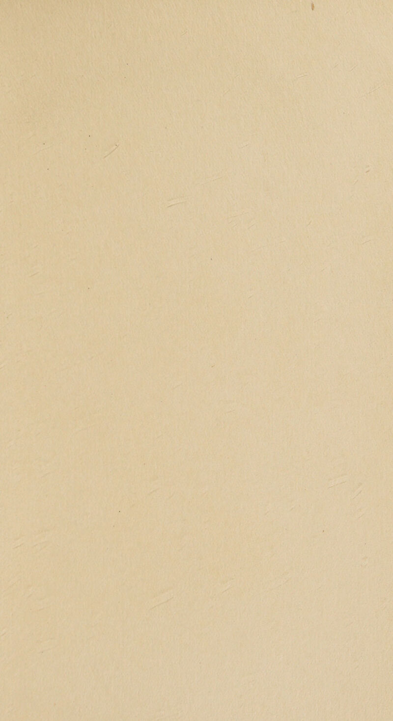 '