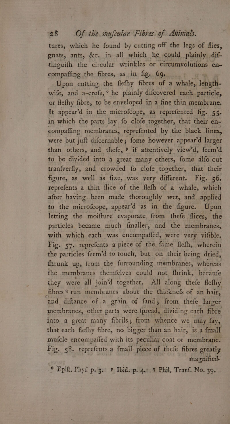 tures, which he found by cutting off the legs of flies, gnats, ants, &amp;c. in all which he -could plainly dif- tinguifh the circular wrinkles or circumvolutions en- compafling the fibres, as in fig. 69. _ . Upon cutting the flefhy fibres of a whale,. lebnth- wife, and a- -crofs,° he plainly difcovered each. particle, or flefhy fibre, to be enveloped in a fine thin membrane. It appear’d in the microfcope, as reprefented fig. 55. in which the parts lay fo clofe together, that their en- compafling membranes, reprefented by the black lines, were but juft difcernable; fome however appear’d larger than others, and thefe, ? if attentively view’d, feem’d to be divided into a great many others, fome alfo cut tran{verfly, and crowded fo clofe together, that their figure, as well as fize, was very different. Fig. 56. reprefents a thin flice of the flefh of a whale, which after having been made thoroughly wet, and applied to the microfcope, appear’d as in the figure. Upon Jetting the moifture evaporate. from thefe ‘flices, the particles became much {maller, and the membranes, with which each was encompafied, were very vifible. Fig. 57. reprefents a piece of the fame flefh, wherein the particles feem’d to touch, but on their being dried, fhrunk up, from the: furrounding membranes, whereas the membranes themfelves could not fhrink, becaufe they were all join’d together, All along thefe flefhy fibres? run membranes about the thicknefs of an hair, ‘and diftance of a grain of fand; from thefe _larger membranes, other parts were fpread, dividing. each fibre Into a great many fibrils ; from whence we may fay, that each flefhy fibre, no bigger than an hair, is a {mall mufcle encompafied with its peculiar coat or membrane. Fig. 58. reprefents a fmall piece of thefe fibres greatly ‘i magnified. ® Epitt. Phyf. p.3.° P Ibid. p. 4.° % Phil, Tranf. No. 39.