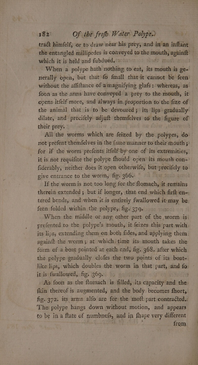 tract himfelf, or to draw near his prey, and in an inftante — the entangled millipedes is cannes to the oi bhi — | which it is held and fubdued, BY ~ When a polype hath cabbie to eat, its ae is ge- nerally open, but that fo fmall thatit cannot be feen’ without the affiftance of amagnifying glafs : whereas, as foon as the arms have conveyed a ‘prey to the mouth, it opens itfelf more, and always in. proportion to the ‘fize of the animal that is to be devoured; its lips gradually. dilate, and precifely: dg themfelves to the figure of their prey. . All the worms which are feized by the polypes, do not prefent themfelves in the fame manner to their mouth ;' for if the worm prefents itfelf by-one of its extremities, it is not requifite the polype fhould open its mouth con-) fiderably, neither does it open otherwife, but precifely to give entrance to the worm, fig. 366.: ae If the wormis not too long for. the ftomach, it remains therein extended ; but if longer, that end which firft'en-, tered bends, and when it is entirely fwallowed it-may be feen folded within the polype;, fig.'379. When the middle or any, other part of the. worm is\ prefented to the polype’s mouth, it feizes this part with its lips, extending them on both fides, and applying them. againit the worm; at which-time its mouth takes the form of a boat pointed at each end, fig. 368. after which the polype gradually clofes the two points of its boat- like lips, which doubles the worm in that part, and fo: - it is fwallowed, fig. 369. ; As foon as the ftomach is filled, its capacity’and the: fkin thereof is augmented, and the body becomes fhort, fig. 372. its arms alfo are for the moft part contracted.: The polype hangs down without motion, and appears to be in a ftate of numbness and } in thape very different from.