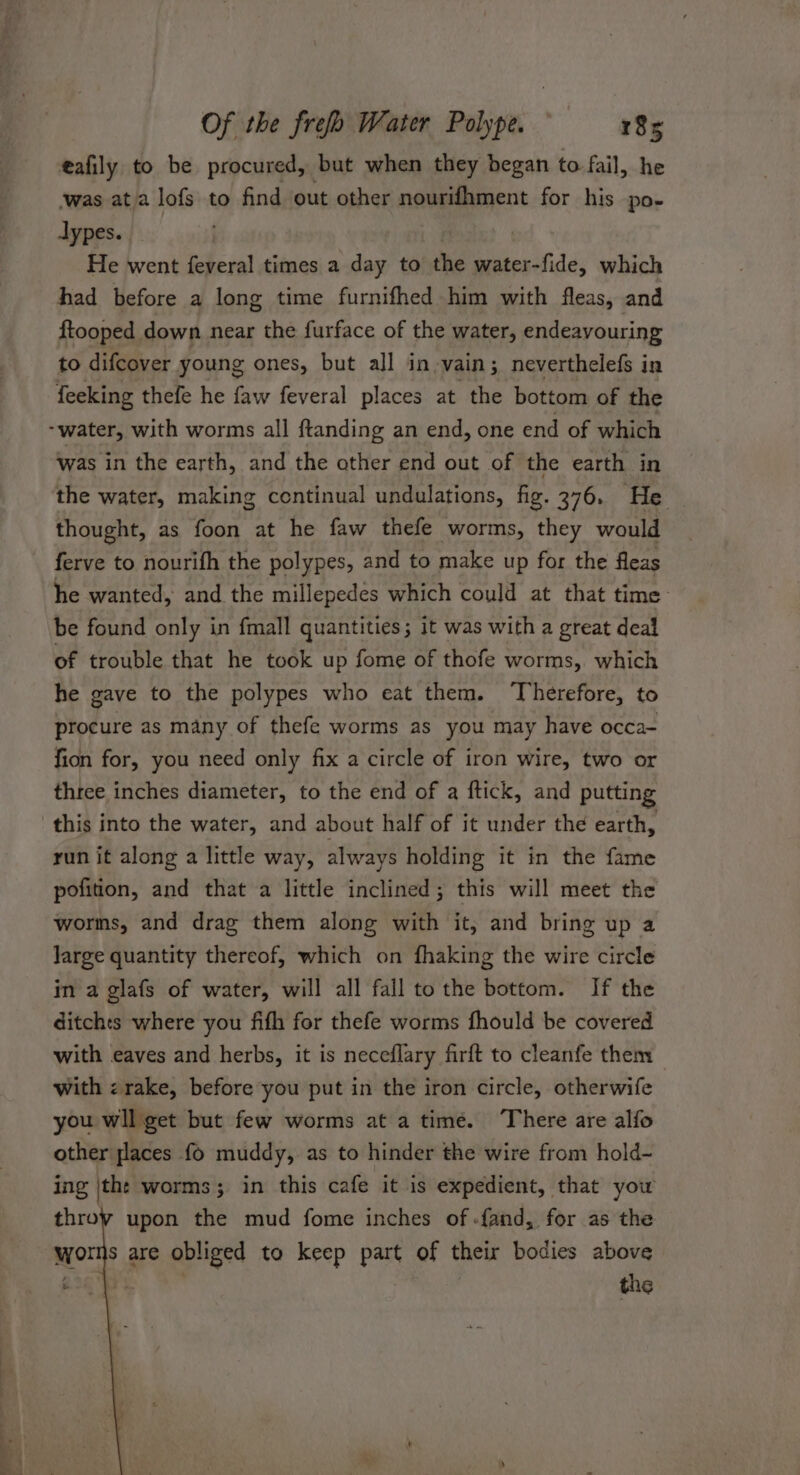 eafily to be procured, but when they began to fail, he was ata lofs to find out other nourifhment for his po- dypes. He went feveral times a day to the water-fide, which had before a long time furnifhed him with fleas, and ftooped down near the furface of the water, endeavouring to difcover young ones, but all in-vain; neverthelefs in feeking thefe he faw feveral places at the bottom of the was in the earth, and the other end out of the earth in the water, making centinual undulations, fig. 376. He thought, as foon at he faw thefe worms, they would ferve to nourifh the polypes, and to make up for the fleas he wanted, and the millepedés which could at that time: be found only in fmall quantities; it was with a great deal of trouble that he took up fome of thofe worms, which he gave to the polypes who eat them. ‘Therefore, to procure as many of thefe worms as you may have occa- fion for, you need only fix a circle of iron wire, two or three inches diameter, to the end of a ftick, and putting this into the water, and about half of it under the earth, run it along a little way, always holding it in the fame pofition, and that a little inclined; this will meet the worms, and drag them along with it, and bring up a large quantity thereof, which on fhaking the wire circle in a glafs of water, will all fall tothe bottom. If the ditchts where you fifh for thefe worms fhould be covered with eaves and herbs, it is neceflary firft to cleanfe them with &lt; rake, before you put in the iron circle, otherwife you wll get but few worms at a time. There are alfo other places fo muddy, as to hinder the wire from hold- ing ithe worms; in this cafe it is expedient, that yow throy upon the mud fome inches of -fand, for as the worms are obliged to keep part of their bodies above | the