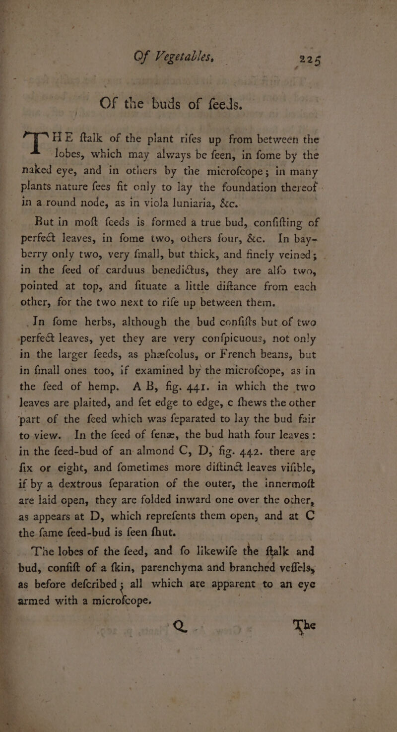 Of the buds of feeds. HE ftalk of the plant rifes up from between the lobes, which may always be feen, in fome by the naked eye, and in others by the microfcope ; in many plants nature fees fit only to lay the foundation thereof in a round node, as in viola luniaria, &amp;c.. But in moft feeds is formed a true bud, confifting of perfect leaves, in fome two, others four, &amp;c. In bay- berry only two, very {mall, but thick, and finely veined; in the feed of carduus benedictus, they are alfo two, pointed at top, and fituate a little diftance from each other, for the two next to rife up between them. .In fome herbs, although the bud confifts but of two in {mall ones too, if examined by the microfcope, as in the feed of hemp. AB, fig. 441. in which the two leaves are plaited, and fet edge to edge, c fhews the other to view. In the feed of fenz, the bud hath four leaves : in the feed-bud of an almond C, D, fig. 442. there are if by a dextrous feparation of the outer, the innermoft are laid open, they are folded inward one over the other, as appears at D, which reprefents them open, and at C the fame feed-bud is feen fhut. The lobes of the feed, and fo likewife the fal and bud, confift of a fkin, parenchyma and branched veffels, as before defcribed ; ‘ all which are apparent; to an eye BS ape ) The