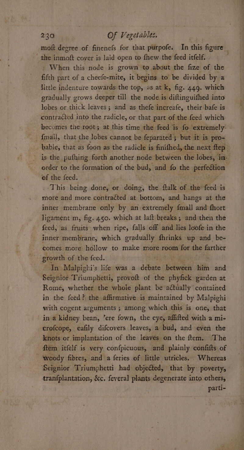 moft degree of finenefs for that purpofe. In this figure _ ' the inmoft cover is laid open to fhew the feed itfelf. . ' When this node is grown to about the fize of the fifth part of a cheefe-mite, it begins to be divided by a little indenture towards the top, as at k, fig. 449. which - gradually grows deeper till the node is diftinguifhed into lobes or thick leaves ; and as thefe increafe, their bafe is contracted into the radicle, or that part of the feed which becomes tie root; at this time the feed is” fo extremely bable, that as foon as the radicle is finifhed, the next ftep- is the pufhing forth another node between the lobes, ine order to the formation of the bass and fo the bericeeees of the feed. ‘This being done, or sles the ftalk of the feed i is more and more contracted at bottom, and hangs at the inner membrane only by an-extremely {mall and fhort ligament m, fig. 450. which at laft breaks ; and then the feed, as fruits: when ripe, falls off and lies loofe in the inner membrane, which gradually fhrinks up and_be-+ comes more hollow to make more room poe abe farther growth of the feed. § . ~ In Malpighi’s life was a debate bekengeli him and Seignior Triumphetti, provoft of the phyfick garden at Rome, whether the whole plant be actually contained in the feed? the affirmative is maintained by Malpighi with cogent arguments ; among which this is one, that in a kidney bean, ’ere fown, the eye, affifted with a mi- crofcope, eafily difcovers. leaves, a bud, and even the knots or implantation of the leaves on the ftem. The ftem itfelf is very confpicuous, and plainly confifts of | woody fibres, and a feries of little utricles. Whereas ‘Seignior Triumphetti had objected, that by poverty, tranfplantation, &amp;c. feveral plants degenerate into others, parti-