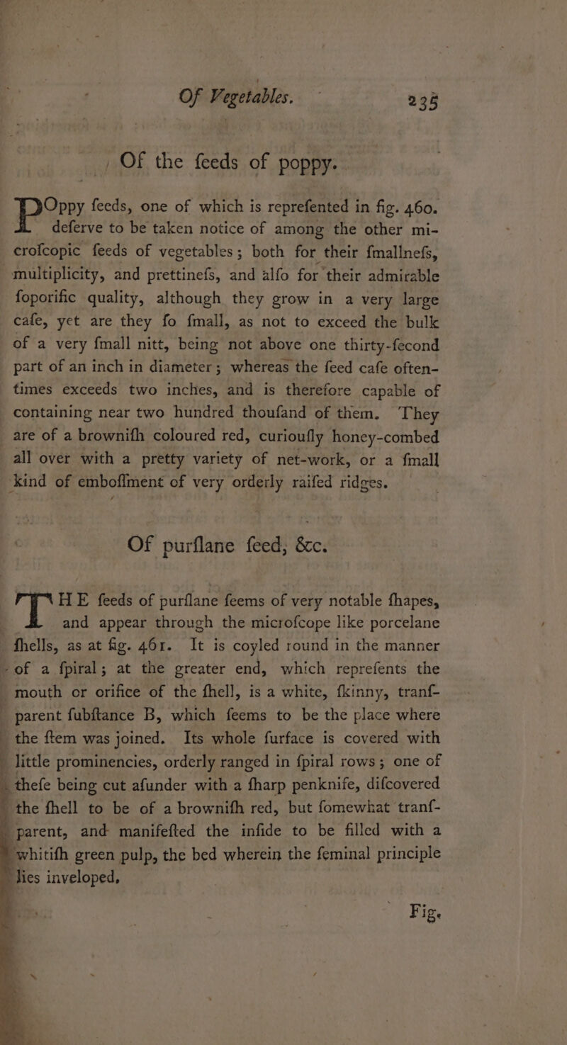 _ OF the feeds of poppy. . Oppy feeds, one of which is reprefented in fig. 460. deferve to be taken notice of among the other mi- crofcopic feeds of vegetables; both for their {mallnefs, multiplicity, and prettinefs, and alfo for their admirable foporific quality, although they grow in a very large cafe, yet are they fo fmall, as not to exceed the bulk of a very fmall nitt, being not above one thirty-fecond part of an inch in diameter; whereas the feed cafe often- times exceeds two inches, and is therefore capable of containing near two hundred thoufand of them. ‘They _ are of a brownifh coloured red, curioufly honey-combed all over with a pretty variety of net-work, or a fmall ‘kind of embofiment of very orderly raifed ridges. Of purflane feed; &amp;c. HE feeds of purflane feems of very notable fhapes, and appear through the microfcope like porcelane Shells, as at fg. 4613. It is coyled round in the manner -of a fpiral; at the greater end, which reprefents the mouth or orifice of the fhell, is a white, fkinny, tranf- parent fubftance B, which feems to be the place where _ the ftem was joined. Its whole furface is covered with little prominencies, orderly ranged in {piral rows; one of thefe being cut afunder with a fharp penknife, difcovered the fhell to be of a brownifh red, but fomewhat tranf- parent, and manifefted the infide to be filled with a whitifh green pulp, the bed wherein the feminal principle lies inveloped, Fig.