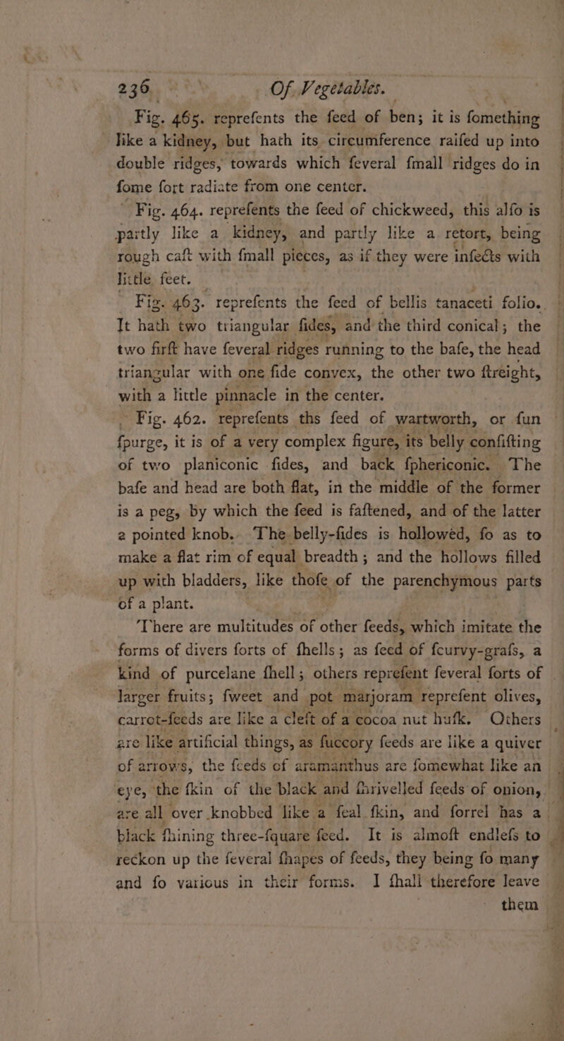 e905 % %' » Of: Vegetables. Fig. 465. reprefents the feed of beh it is fomething like a kidney, but hath its circumference raifed up into double ridges, ‘towards which feveral {mall ridges do in fome fort radiate from one center. Fig. 464. reprefents the feed of chickweed, this alfo is partly like a kidney, and partly like a retort, being rough caft with {mall pieces, as if they were infects with Hittle feet. It hath two triangular fides, and the third conical; the two firft have feveral ridges running to the bafe, the head with a little pinnacle in the center. of two planiconic fides, and back fphericonic. — The bafe and head are both flat, in the middle of the former is a peg, by which the feed is faftened, and of the latter 2 pointed knob.. The belly-fides is hollowéd, fo as to make a flat rim of equal breadth ; and the hollows filled up with bladders, like thofe of the parenchymous parts of a plant. There are multitudes of other feeds, which imitate a forms of divers forts of fhells; as feed of fcurvy-grafs, a larger fruits; fweet and pot marjoram ‘reprefent olives, carrot-feeds are Ii ke a cleft t of : a cocoa nut hufk. Others are like artificial things, as fuccory feeds are like a quiver are all over knabbed like. a feal fkin, and forrel has a. reckon up the feveral fhapes of feeds, they being fo many and fo various in their forms. I fhall therefore leave
