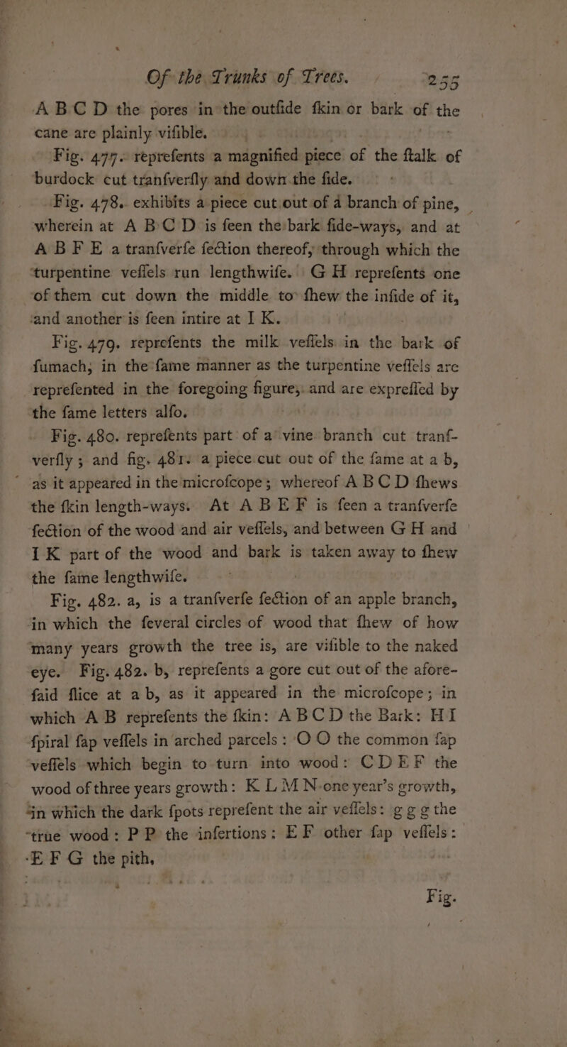 ABCD the pores in the outfide fkin or bark af the cane are plainly vifible. Fig. 477. reprefents a magnified piece of the ftalk of burdock cut tranfverfly and down. the fide. Fig. 478.. exhibits a piece cut out of a branch of pine, _ wherein at A BC D is feen the bark fide-ways, and at ABF E a tranfverfe fection thereof, through which the ‘turpentine vefiels run lengthwife. GH _ reprefents one ‘of them cut down the middle to» fhew the infide of it, ‘and another is feen intire at I K. | Fig. 479. reprefents the milk vefiels in the bark of fumach, in the’fame manner as the turpentine veffels are reprefented in the foregoing figure. and are exprefled by the fame letters alfo. Fig. 480. reprefents part of a’ vine branch cut tranf- verfly ; and fig. 481. a piece.cut out of the fame at a b, the fkin length-ways. At A BEF is feen a tranf{verfe feGion of the wood and air veflels, and between G H and | 1K part of the wood and bark is taken away to fhew the fame lengthwile. Fig. 482. a, is a tranfverfe fection of an apple branch, ‘in which the feveral circles of wood that fhew of how many years growth the tree is, are vilible to the naked eye. Fig. 482. b, reprefents a gore cut out of the afore- faid flice at ab, as it appeared in the microfcope; in which AB reprefents the fkin: ABCD the Bark: HI fpiral fap veflels in arched parcels : OO the common fap veffels which begin to turn into wood: CDEF the wood of three years growth: K L M No-one year’s growth, in which the dark {pots reprefent the air veflels: ggethe “true wood: P P the infertions: EF other fap veflels: ‘EF G the pith, ; Fig.