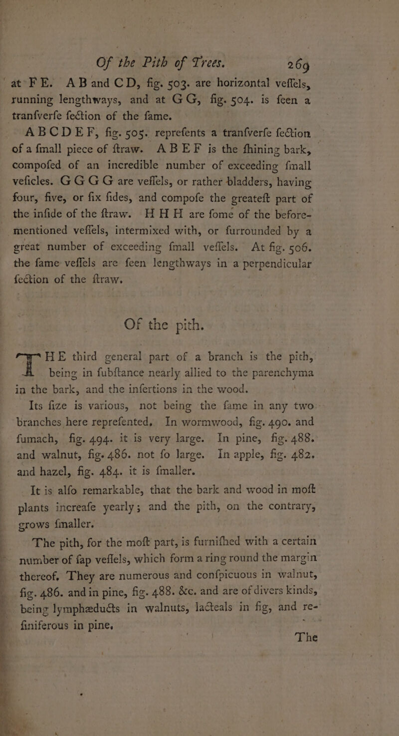 running lengthways, and at GG, fig. 504. is feen a ABCDEF, fig. 505. reprefents a tranfverfe feGtion of a fmall piece of ftraw. ABEF is the fhining bark, | compofed of an incredible number of exceeding fimall veficles. GG G G are veffels, or rather bladders, having four, five, or fix fides, and compofe the greateft part of the infide of the ftraw. HH H are fome of the before- great number of exceeding fmall veflels. At fig. 506. the fame veflels are feen ges Heb in a perpendicular fection of the ftraw. Of the pith. HE third general part of a branch is the pith, being in fubitance nearly allied to the ua aden, in the bark, and the infertions in the wood. Its fize is various, not being the fame in any two branches here reprefented, In wormwood, fig. 490. and fumach, fig. 494. it is very large. In pine, fig. 488. and walnut, fig. 486. not fo large. In apple, fig. 482. and hazel, fig. 484. it is {maller. It is alfo remarkable, that the bark and wood in moft plants increafe yearly; and the pith, on the contrary, grows {inaller. The pith, for the moft part, is furnifhed with a certain number of fap veflels, which form a ring round the margin thereof, They are numerous and confpicuous in walnut, fig. 486. and in pine, fig. 488. &amp;c. and are of divers kinds, being lymphzduéts in walnuts, lacteals in fig, Pan re- The
