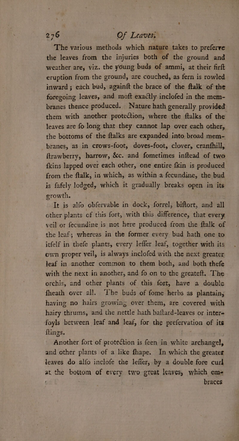 The various methods which nature takes to ureteral the leaves from the injuries both of the ground and weather are, viz. the young buds of ammi, at their firft eruption from the ground, are couched, as fern is rowled inward ; each bud, againft the brace of the ftalk of the foregoing leaves, and moft exactly inclofed in the mem- branes thence produced. Nature hath generally provided them with another protection, where the ftalks of the leaves are fo long that they cannot lap over each other, the bottoms of the ftalks are expanded into broad mem- branes, as in crows-foot, doves-foot, clover, cranfhill, ftrawberry, harrow, &amp;c. and fometimes inftead of two {kins lapped over each other, one entire fkin is produced from the ftalk, in which, as within a fecundine, the bud is fafely lodged, which it gradually breaks open in its growth. It is alfo obfervable in dock, forrel, biftort, and all other plants of this fort, with this difference, that every, veil or fecundine is not here produced from the ftalk of the leaf; whereas in the former every bud hath one to itfelf in thefe plants, every lefler leaf, together with its cwn proper veil, is always inclofed with the next greater teaf in another common to them both, and both thefe with the next in another, and fo on to the greateft.. The orchis, and other plants of this fort, have a double fheath over all. ‘he buds of fome herbs as plantain, having no hairs growing over them, are covered with hairy thrums, and the nettle hath baftard-leaves or inter foyls between leaf and leaf, for the pation of its {tings. Another fort of protection is feen in white archangel, and other plants of a like fhape. In which the greater leaves do alfo inclofe the lefler, by a double fore curl at. the bottom of every two great leaves, which ems braces