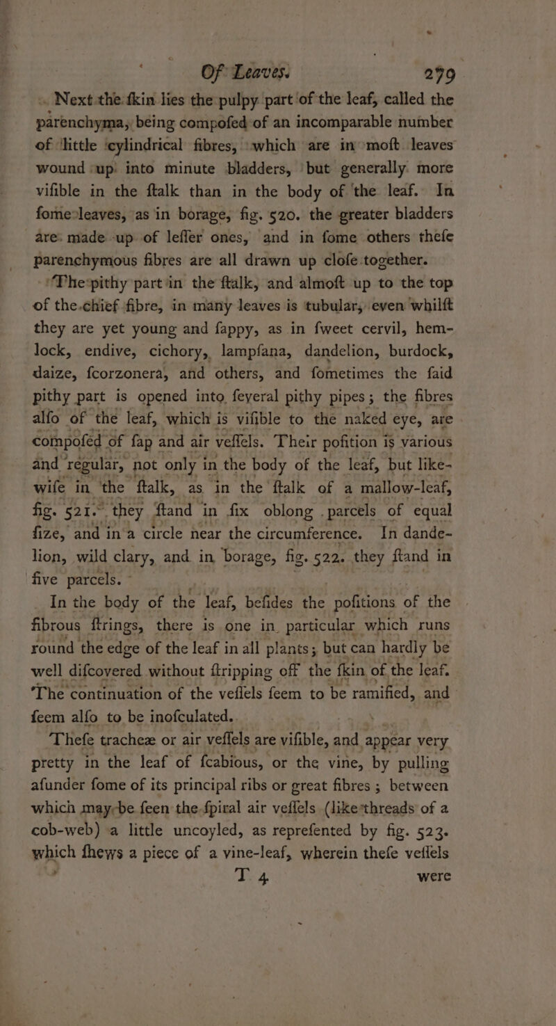 * Of Leaves. 299 . Next-the fkin lies the pulpy part ‘of the leaf, called the Sten: 2 being compofed of an incomparable number of ‘little ‘cylindrical fibres, which are in moft leaves wound ‘up: into minute bladders, but generally. more vifible in the ftalk than in the body of ‘the leaf. In fome»leaves, as in borage, fig. 520. the greater bladders are. made up of leffer ones, and in fome others thefe parenchymous fibres are all drawn up clofe together. ‘The*pithy part in the ftalk, and almoft up to the top of the.chief fibre, in many leaves is tubular, even whilft they are yet young and fappy, as in fweet cervil, hem- lock, endive, cichory, lampfana, dandelion, burdock, daize, fcorzonera, and others, and fometimes the faid pithy part is opened into feyeral pithy pipes; the fibres alfo of the leaf, which i is vifible to the naked eye, are compofed of fap and air vellels. Ther pofition is is various and regular, not only i in the body of the leaf, but like- wife in the ‘ftalk, as in the ftalk of a mallow-leaf, fig. 521. * they | ftand in fix oblong | parcels of equal fize, and ina circle near the circumference, In dande- lion, wild clary, and. in, borage, fig. 522. they ftand in five parcels. - In the body of the leaf, befides the pofitions « of the fibrous firings, there is one in. particular which runs round the edge of the leaf in all plants; but can hardly be well difcovered without {tripping off the fkin of, the leaf. ‘The continuation of the veflels feem to be ramified, and feem alfo to be inofculated. . Thefe trachez or air veflels are vifible, and appear very pretty in the leaf of fcabious, or the vine, by pulling afunder fome of its principal ribs or great fibres ; between which mayrbe feen the fpiral air veflels (like*threads of a cob-web) a little uncoyled, as reprefented by fig. 523. which fhews a piece of a vine-leaf, wherein thefe veilels F Tee were