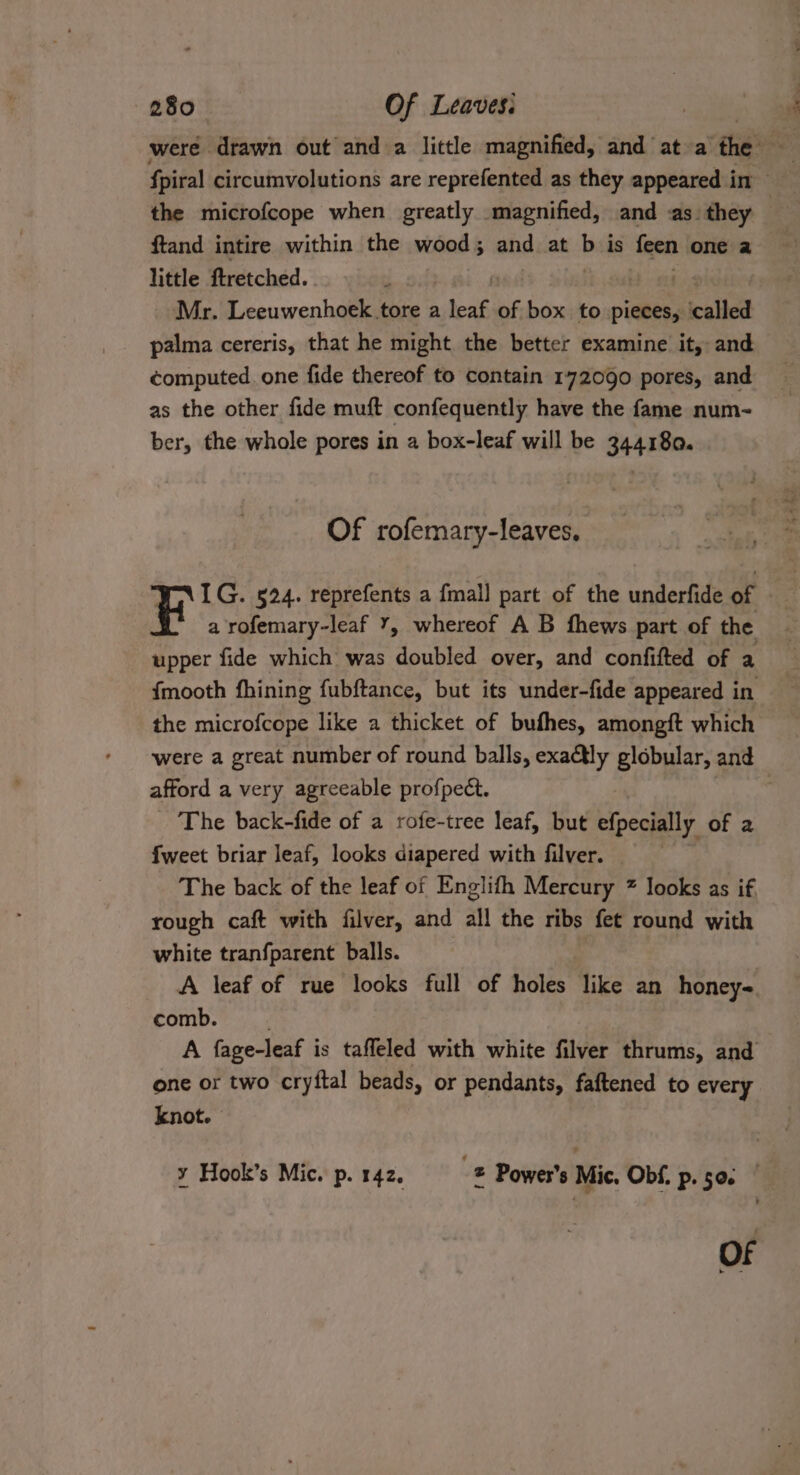 5 = ftand intire within the wood; and at b is feen one a little ftretched. | | Mr. Leeuwenhoek tore a seas of box to pieces, called palma cereris, that he might the better examine it, and computed one fide thereof to contain 172090 pores, and as the other fide muft confequently have the fame num- ber, the whole pores in a box-leaf will be 344180. Of rofemary-leaves. upper fide which was doubled over, and confifted of a the microfcope like a thicket of bufhes, amongft which afford a very agreeable profpedt. The back-fide of a rofe-tree leaf, but efpecially of 2 {weet briar leaf, looks diapered with filver. The back of the leaf of Englifh Mercury ” looks as if rough caft with filver, and all the ribs fet round with white tranfparent balls. A leaf of rue looks full of holes like an honey-=. comb. one or two cryftal beads, or pendants, faftened to every knot. Of