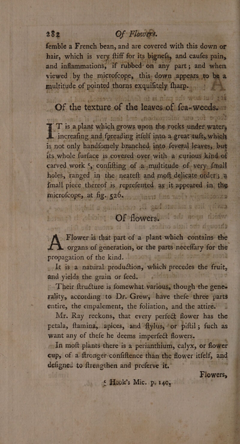 288i) \: Of Flowers. femble a French bean, and are covered with this down or hair, which is very f {tiff for its bignets, and caufes pain, and inflammations, if fabbed on any part; and when viewed . by the microfcope, _ this: down ARPES AP . multitude « of neta al Pa Thatp-gn | sc ats oi ee cod? “~ wb fires aft ui Tourn AO “O02 increafing, and {preading itfelf into, a greatituft, which carved. work cs confifting. of sai ‘multitude of, ve » Imalt holes, ranged in the. neateft and mot. delicate « ders 2 A {mall piece , thereof j is. reorefent as’ it. appeared An} the microfcope, at Ag 526., stingy bite tsetse eae Ch podogaiiiiax.s il yee “OF oarerel ods moqur doitve .. Flower is that part of a plant'which contains: the propagation of the kind. . oa ; -It isa natural: production, which precedes the fruit, and yields the grain or feed. . Their ftru€ture is fomewhat. various, though the genes rality, according ‘to Dr. Grew, have thefe three parts entire, the empalement, the foliation, and the attire. . Mr. Ray reckons, that every perfect flower has the petala, ftamina, apices, and ftylus, * or piftil ; fuch as want any of thefe he deems imperfect fowers. __ »In moft plants there is a perianthium, calyx, or flower cup, of a ftronger-confiftence than the flower itfelf, 4 defigned to ftrengthen and preferve it.’ F lowers, Hook’s Mic. pi 140,