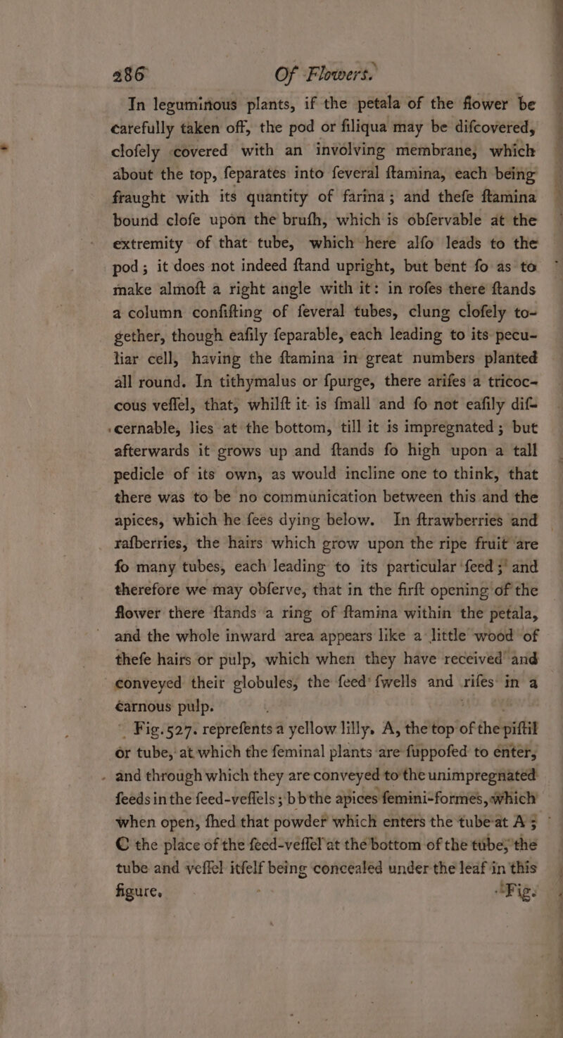 In leguminous plants, if the petala of the flower be carefully taken off, the pod or filiqua may be difcovered, clofely covered with an involving membrane, which about the top, feparates into feveral ftamina, each being fraught with its quantity of farina; and thefe ftamina bound clofe upon the brufh, which is obfervable at the extremity of that tube, which here alfo leads to the pod; it does not indeed ftand upright, but bent fo as to make almoft a right angle with it: in rofes there ftands a column confifting of feveral tubes, clung clofely to- gether, though eafily feparable, each leading to its pecu- liar cell, having the ftamina in great numbers planted all round. In tithymalus or {purge, there arifes a tricoc- cous veflel, that; whilft itis fmall and fo not eafily dif .cernable, lies at the bottom, till it is impregnated ; but afterwards it grows up and ftands fo high upon a tall pedicle of its own, as would incline one to think, that there was to be no communication between this and the rafberries, the hairs which grow upon the ripe fruit are fo many tubes, each leading to its particular ‘feed ;’ and therefore we may obferve, that in the firft opening of the flower there ftands a ring of ftamina within the petala, and the whole inward area appears like a little wood of thefe hairs or pulp, which when they have received’ and éarnous pulp. © Fig i§24% reprefeAts a yellow lilly. A, the top of ofthe piftil or tube,‘ at which the feminal plants are fuppofed to enter, - and through which they are conveyed to the unimpregnated feeds inthe feed-veflels; bb the apices femini-formes, which C the place of the feed-veffel at the bottom of the ether che tube and veffel itfelf being concealed under the leaf in this figure, “Fig.