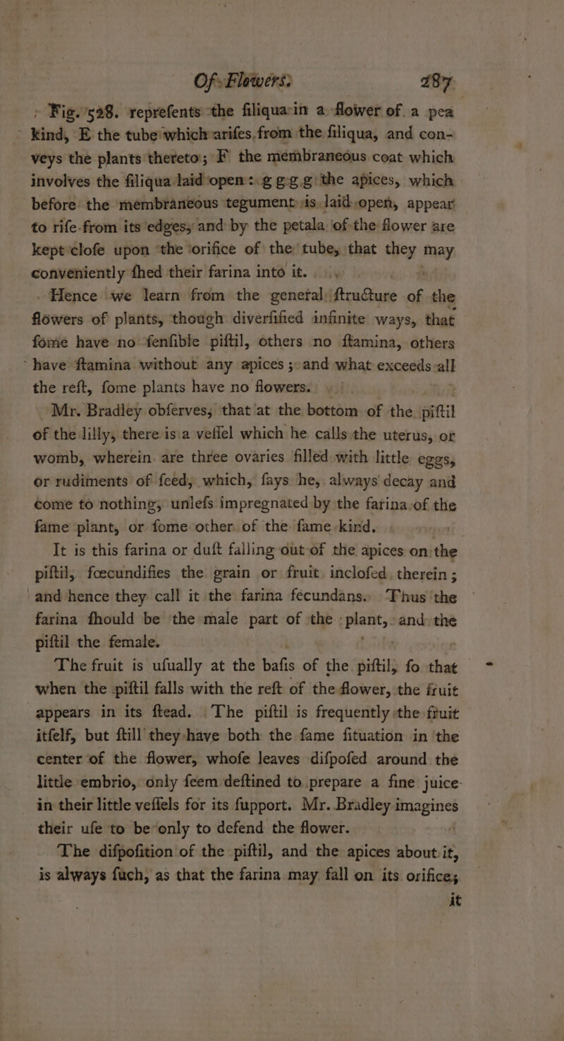 » Fig.’528. reprefents ‘the filiquarin a flower of a pea ~ Kind, E the tube which arifes,from the filiqua, and con- veys the plants thereto; F the membraneous coat which involves the filiqua laid open :.g gog.g' the apices, which before the membraneous tegument is. laid,open, appear to rife-from its edges, and by the petala of the flower are kept clofe upon ‘the ‘orifice of the tube, that they pee conveniently fhed their farina into it. , Hence we learn from the genefal) ftruCture of the flowers of plants, ‘though diverfified infinite ways, that fome have no fenfible piftil, others no ftamina, others ‘have ftamina without any apices ;. and what exceeds.all the reft, fome plants have no flowers. . Mr. Bradley obferves; that at the bottom of the. pitti of the lilly, there is a veflel which he calls the uterus, or womb, wherein. are three ovaries filled with little eggs, or rudiments of feed, which, fays he, always decay and come to nothing, unlefs impregnated by the farina of the fame plant, or fome other of the fame kind. It is this farina or duit falling out of the apices on:the piftil, fcecundifies the grain or fruit. inclofed therein ; and hence they call it the farina fecundans.. ‘Thus the farina fhould be the male part of the. smth and: the piftil the female. The fruit is ufually at the Bats of the nifil fo that — when the piftil falls with the reft of the flower, the fruit appears in its ftead. The piftil is frequently :the fruit itfelf, but ftill they have both the fame fituation in the center of the flower, whofe leaves difpofed around the little embrio, only feem deftined to prepare a fine juice: in their little veffels for its fupport. Mr. Bradley i pacts their ufe to be*only to defend the flower. The difpofition of the piftil, and the apices about it, is always fuch, as that the farina may fall on its orifice; it