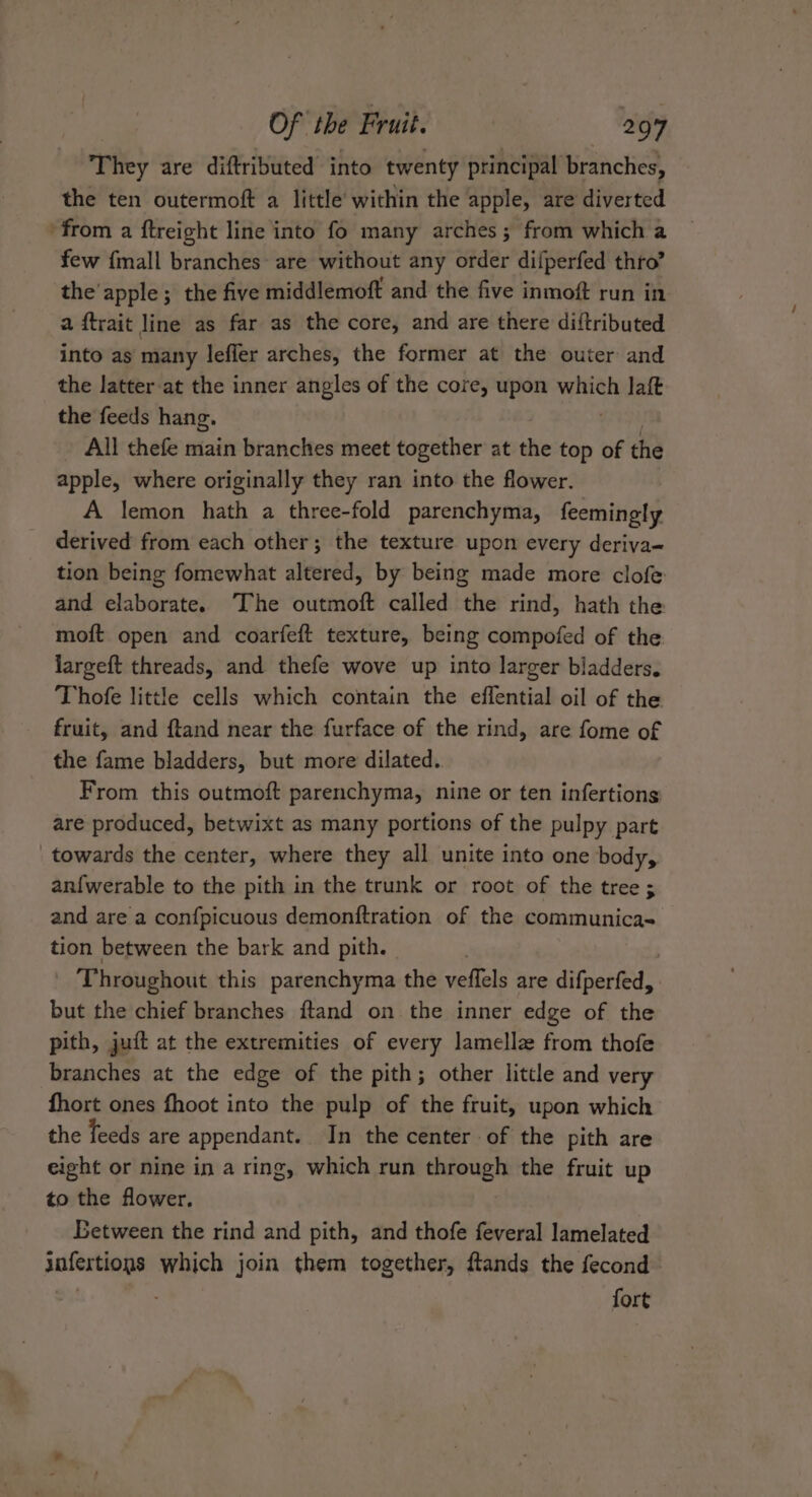 They are diftributed into twenty principal branches, the ten outermoft a little’ within the apple, are diverted ‘from a ftreight line into fo many arches; from which a few {mall branches are without any order difperfed thro’ the’ apple; the five middlemoft and the five inmoft run in a ftrait line as far as the core, and are there diftributed into as many leffer arches, the former at the outer and the latter at the inner angles of the core, upon Sie laft the feeds hang. All thefe main branches meet together at the top of the apple, where originally they ran into the flower. A lemon hath a three-fold parenchyma, feemingly derived from each other; the texture upon every deriva= tion being fomewhat altered, by being made more clofe and elaborate. The outmoft called the rind, hath the moft open and coarfeft texture, being compofed of the largeft threads, and thefe wove up into larger bladders. Thofe little cells which contain the effential oil of the fruit, and ftand near the furface of the rind, are fome of the fame bladders, but more dilated. From this outmoft parenchyma, nine or ten infertions are produced, betwixt as many portions of the pulpy part towards the center, where they all unite into one body, an{werable to the pith in the trunk or root of the tree ; and are a confpicuous demonftration of the communicas tion between the bark and pith. | | | Throughout this parenchyma the veffels are difperfed, but the chief branches ftand on the inner edge of the pith, juit at the extremities of every lamella from thofe branches at the edge of the pith; other little and very fhort ones fhoot into the pulp of the fruit, upon which the Teeds are appendant. In the center of the pith are eight or nine in a ring, which run through the fruit up to the flower. Between the rind and pith, and thofe feveral lamelated area which join them together, flands the fecond fort