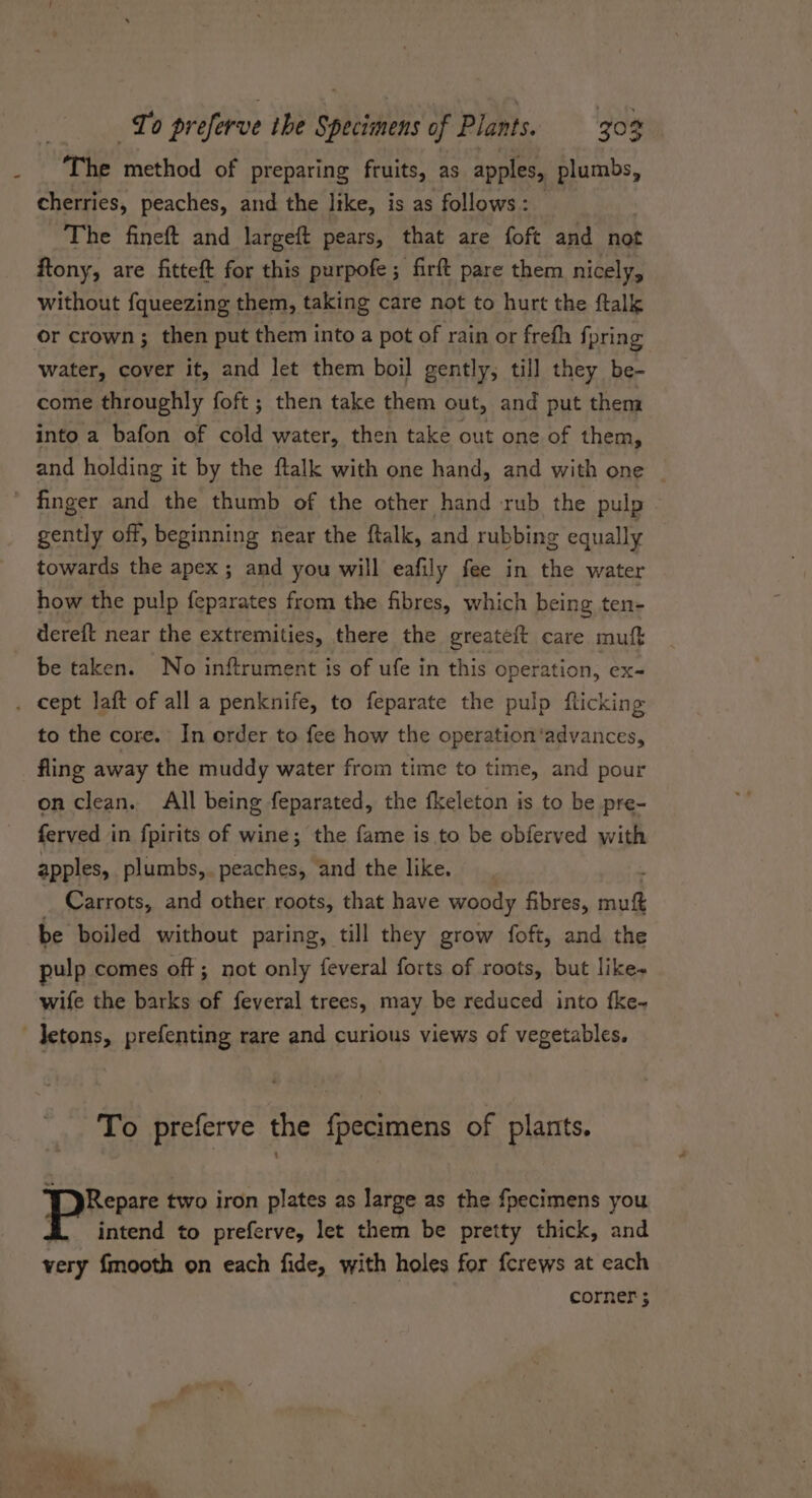 The Anethiod of preparing fruits, as apples, plumbs, cherries, peaches, and the like, is as follows: The fineft and largeft pears, that are foft and not ftony, are fitteft for this purpofe ; firft pare them nicely, without fqueezing them, taking care not to hurt the ftalk water, cover it, and let them boil gently, till they be- come throughly foft; then take them out, and put them into a bafon of cold water, then take out one of them, and holding it by the ftalk with one hand, and with one finger and the thumb of the other hand rub the pulp . gently off, beginning near the ftalk, and rubbing equally towards the apex ; and you will eafily fee in the water how the pulp feparates from the fibres, which being ten- dereft near the extremities, there the greateft care muft be taken. No inftrument is of ufe in this operation, ex- to the core. In order to fee how the operation‘advances, fling away the muddy water from time to time, and pour on clean. All being feparated, the fkeleton is to be pre- ferved in fpirits of wine; the fame is to be obferved with apples, plumbs, peaches, and the like. Carrots, and other roots, that have woody fibres, oil be boiled without paring, till they grow foft, and the pulp comes off; not only feveral forts of roots, but like- wife the barks of feveral trees, may be reduced into fke~ To preferve the fpecimens of plants. pre two iron plates as large as the fpecimens you BZ. intend to preferve, let them be pretty thick, and very {mooth on each fide, with holes for {crews at each corner ;