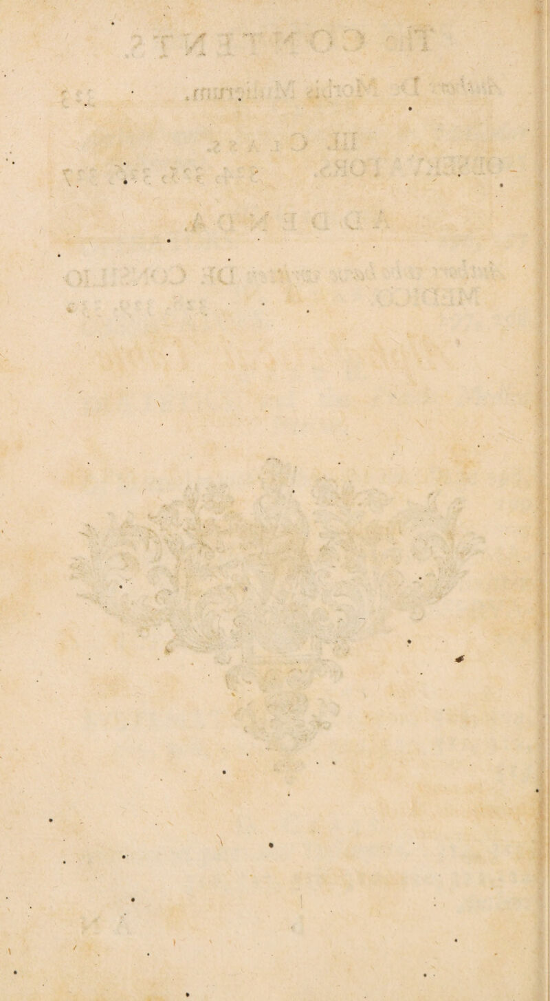 * 4 1 ■' r I rn v« \ \ /