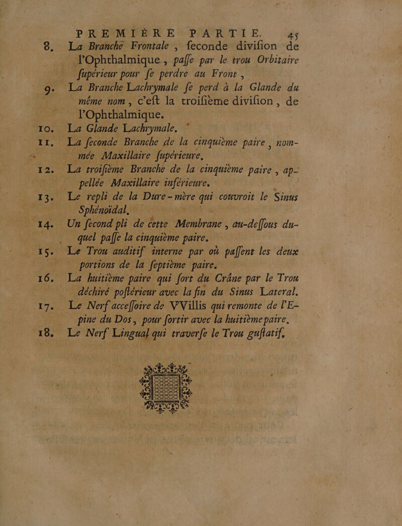 Lo Branche Frontale | feconde divifion de lOphthalmique, pale par le trou Orbitaire fupérieur pour fe perdre au Front | _ même nom, c'eit la troifième divifon , de Ah Ophthalmique. mée Maxillaire fupérieure, La troifième Branche de la cinquième paire , ap- pellée Maxillarre inférieure. _ Sphénoïdal, Un fécond pli de certe ana = au-déelous du- quel pale la cinquième paire. portions de la Jeptième paire. déchiré pofiérieur avec la fin du Sinus Lateral. pine du Dos, pour fortir avec la huitième paire. Le Nerf Lingual qui traverfe le Trou guflatif, Sn be ==