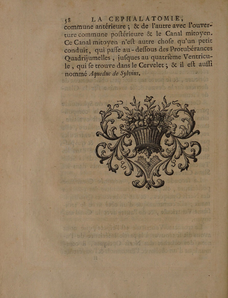 commune antérieure ; &amp; de l’autre avec l’ouver- cure commune poftérieure &amp; le Canal mitoyen. Ce Canal mitoyen n’eft autre chofe qu’un petit conduit, qui pale au - deffous des Protubérances Quadrijumelles , jufques au quatrième Ventricu- le , qui fe trouve dans le Cervelec, &amp; il eft aufli nommé Agueduc de Sylvius. )