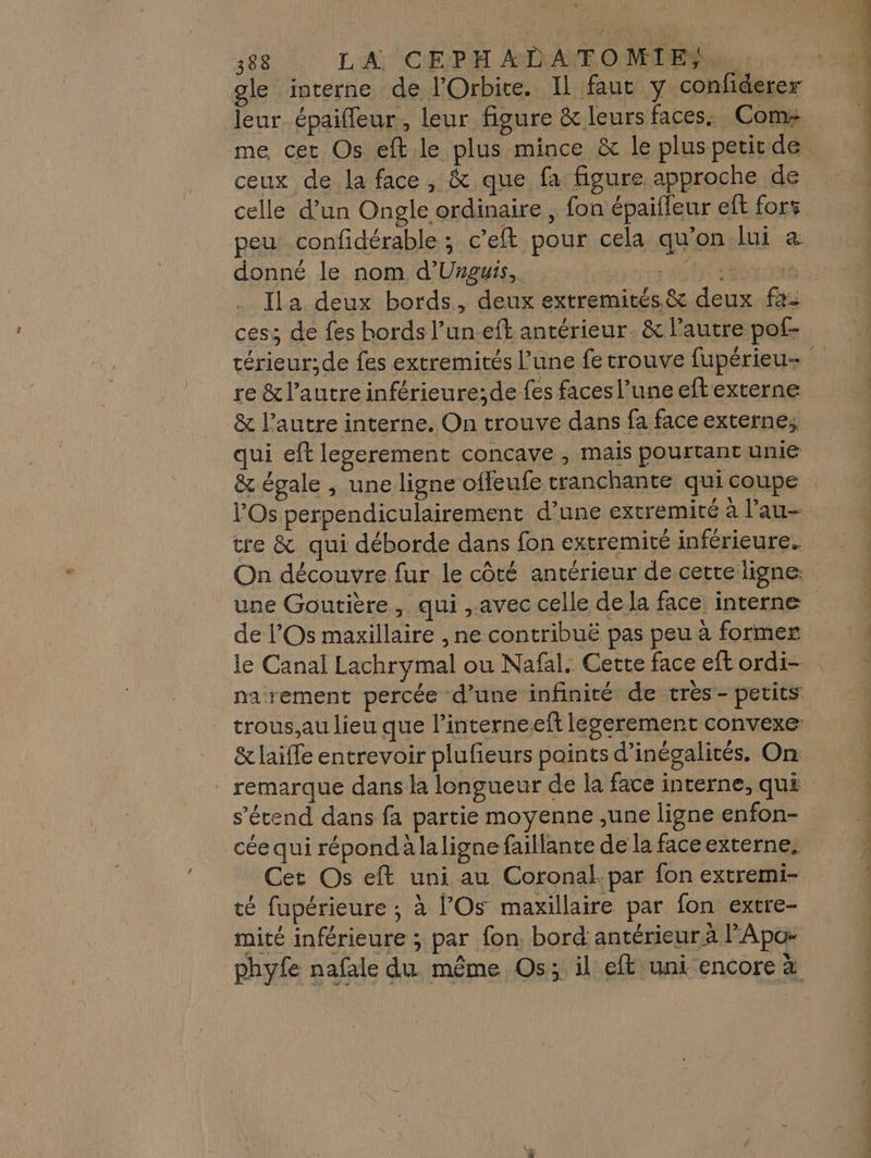 ole interne de lOrbite. Il faut y confiderer leur épaifleur, leur figure &amp; leurs faces. Coms me cet Os eft. le plus mince &amp; le plus petirde ceux de la face, &amp; que fa figure approche de celle d’un Ongle ordinaire , fon épaifleur eft fors peu confidérable ; c’eft pour cela qu'on lui &amp; donné le nom d'Unguis,. | ri re Ila deux bords, deux extremités.&amp; deux fa ces; de fes hords l’uneft antérieur. &amp; l’autre pof- re &amp;l’autre inférieure; de fes faces l’une eftexterne &amp; l’autre interne. On trouve dans fa face externe, qui eft legerement concave , mais pourtant unie Os perpendiculairement d'une extremité à l’au- tre &amp; qui déborde dans fon extremité inférieure. une Goutière, qui avec celle dela face interne de lOs maxillaire , ne contribuë pas peu à former le Canal Lachrymal ou Nafal. Cette face eft ordi- narement percée d’une infinité de très - petits trous,au lieu que l’interneseft legerement convexe &amp; laiffe entrevoir plufieurs paints d’inégalités. On s'étend dans fa partie moyenne ,une ligne enfon- cée qui répond à laligne faillante de la face externe. Cet Os eft uni au Coronal:par fon extremi- té fupérieure ; à Os maxillaire par fon extre- phyfe nafale du même Os; il eft uni encore à