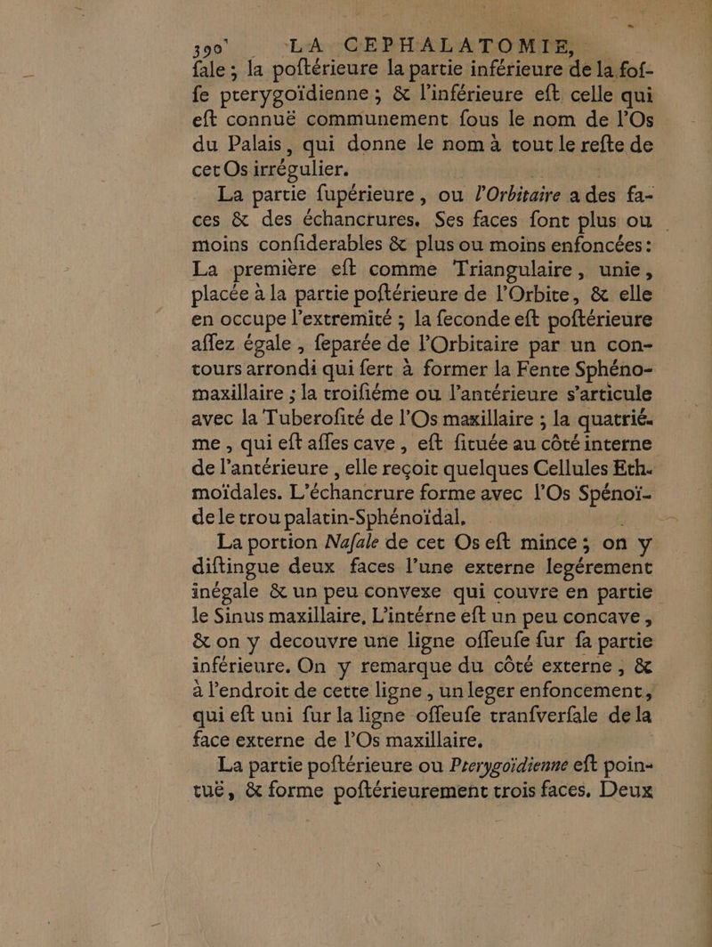 - fale ; la poftérieure la partie inférieure de la fof- fe prerygoïdienne ; ;: &amp; l’inférieure eft celle qui eft connuë communement fous le nom de l’Os du Palais, qui donne le nom à tout le refte de cetOs irrégulier. La partie fupérieure, ou | l'Orbitaire a des fa- ces &amp; des échancrures. Ses faces font plus ou moins confiderables &amp; plus ou moins enfoncées: La première eft comme Triangulaire, unie, placée à la partie poftérieure de l’Orbite, &amp; elle en occupe l’extremité ; la feconde eft poftérieure aflez égale , feparée de lOrbitaire par un con- tours arrondi qui fert à former la Fente Sphéno- maxillaire ; la troifiéme ou l’antérieure s'articule avec la Tuberoficé de l'Os maxillaire ; la quatrié. me, qui eft afles cave, eft fituée au côté interne de l antérieure , elle reçoit quelques Cellules Eth. moïdales. L’ échancrure forme avec l’Os ne hi de le trou palatin-Sphénoïdal, La portion Nafale de cet Os eft mince; on y diftingue deux faces l’une externe legérement inégale &amp; un peu convexe qui couvre en partie le Sinus maxillaire, L’intérne eft un peu concave, &amp; on y decouvre une ligne ofleufe fur fa partie inférieure. On y remarque du côté externe , &amp; à l'endroit de cette ligne , un leser enfoncement, qui eft uni fur la ligne offeufe tranfverfale de la face externe de l’Os maxillaire, La partie poftérieure ou Prerygoïdienne eft poin= tuËë, &amp; forme poftérieurement crois faces, Deux