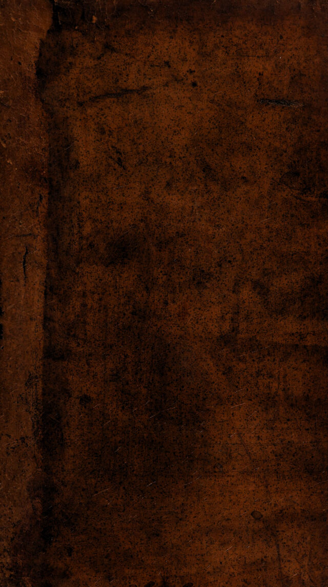 digitised image 1