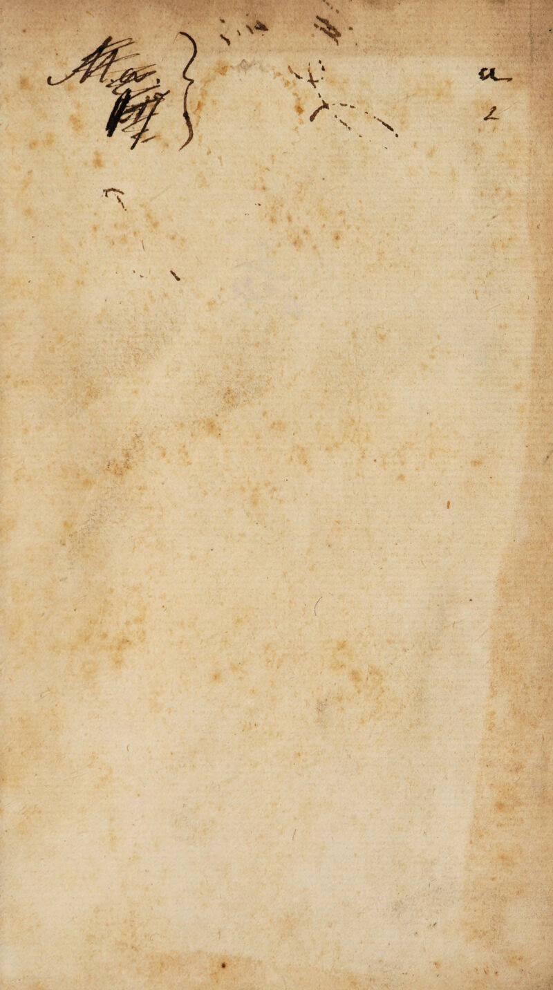 • / / / . * - f V- 'r JS»: vi <' j ■’ V r g* • ; 2 i